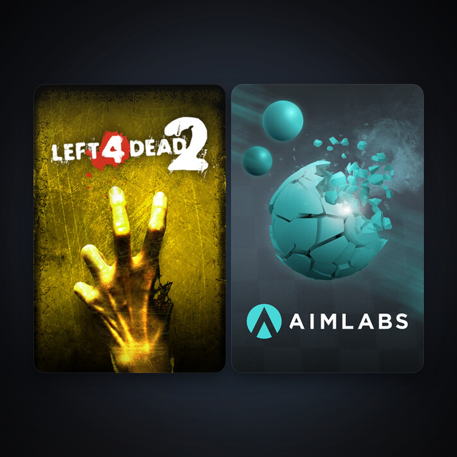 Left 4 Dead 2 + Aimlabs, 6 games, clean — HabibiAccounts