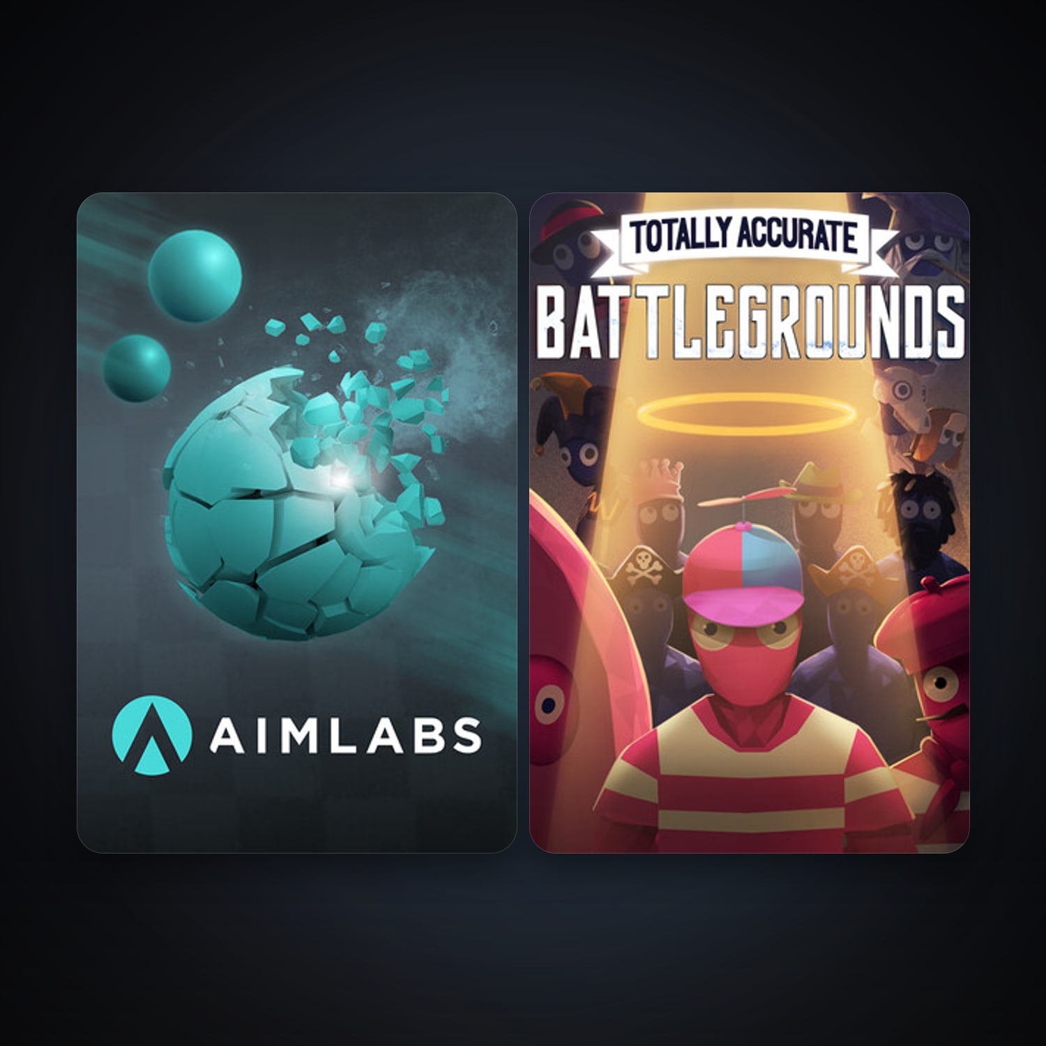 Aimlabs + Totally Accurate Battlegrounds, 7 games, clean — HabibiAccounts