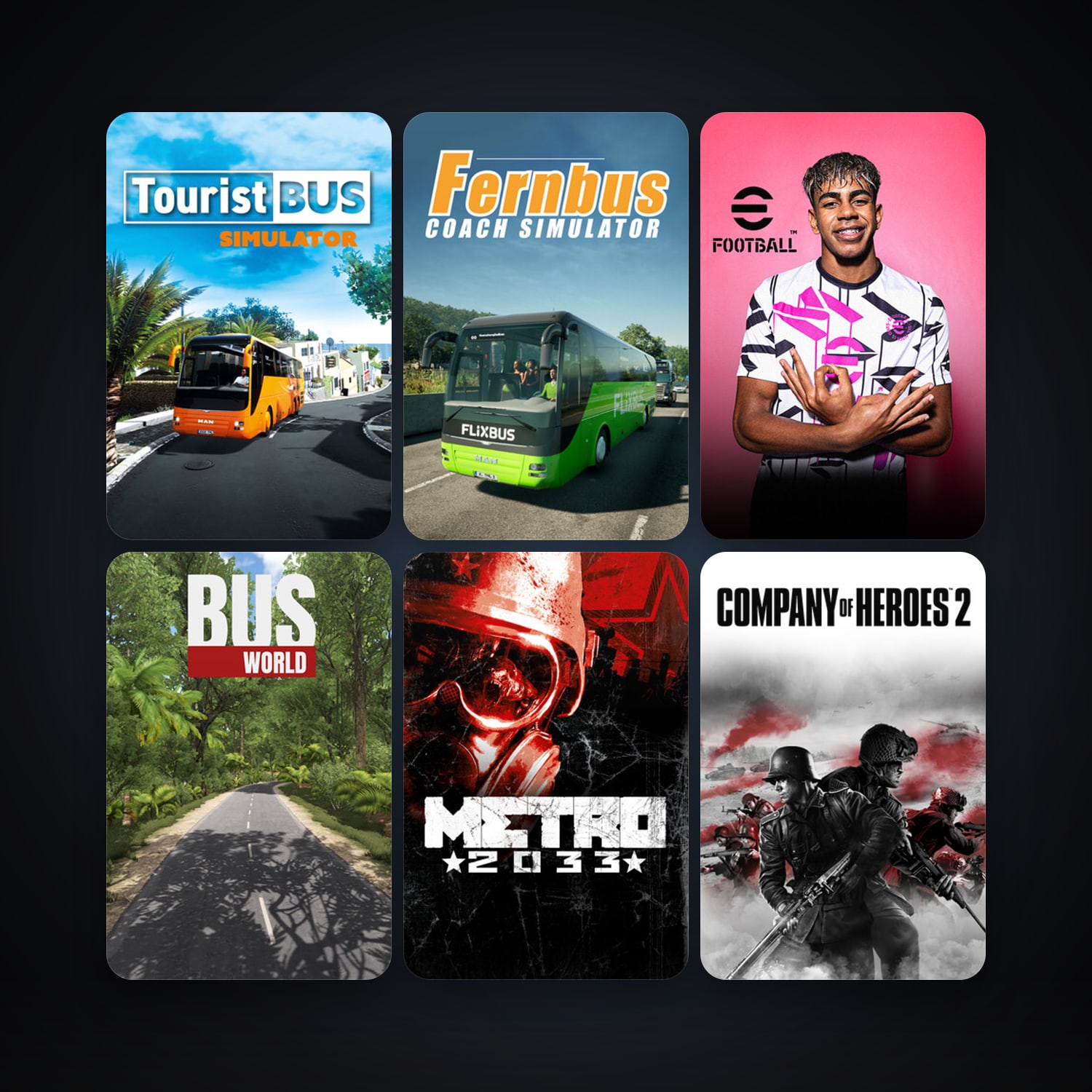 Metro 2033 + Company of Heroes 2, 11 games, clean — HabibiAccounts