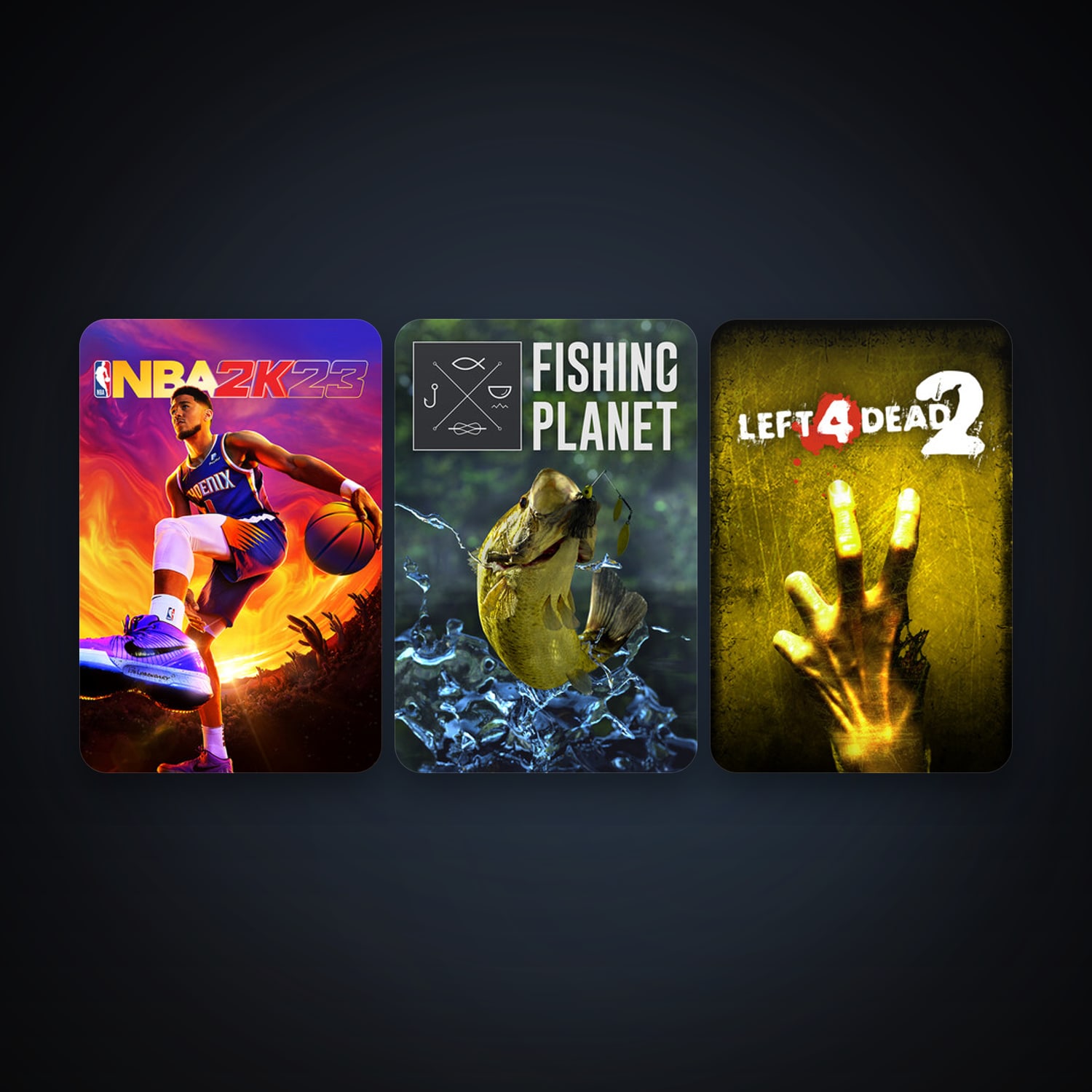 Left 4 Dead 2 + Fishing Planet, 5 games, clean — HabibiAccounts