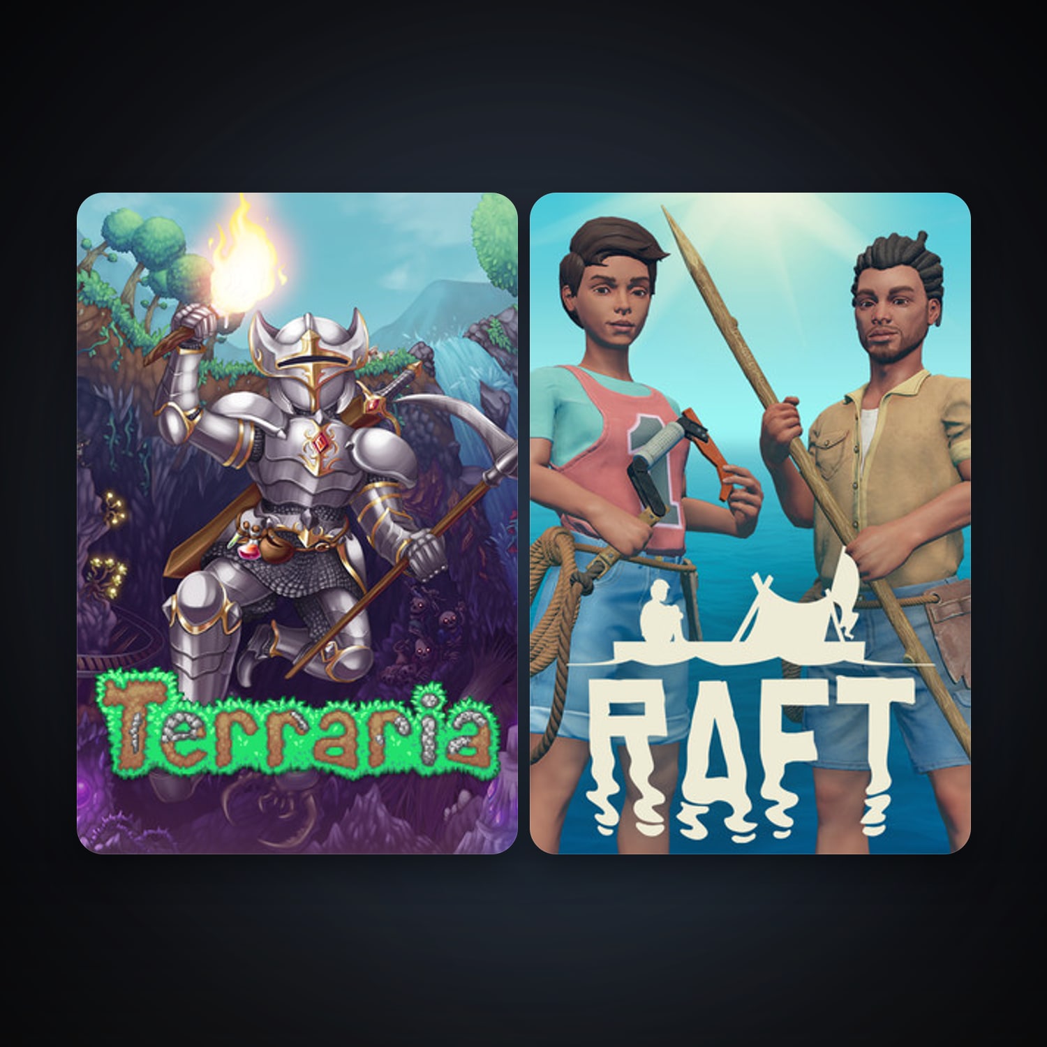 Terraria + Raft, 2 games, clean — HabibiAccounts