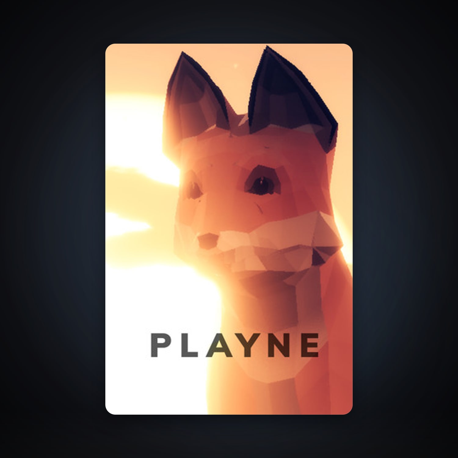 PLAYNE : The Meditation Game, 2 games, clean — HabibiAccounts