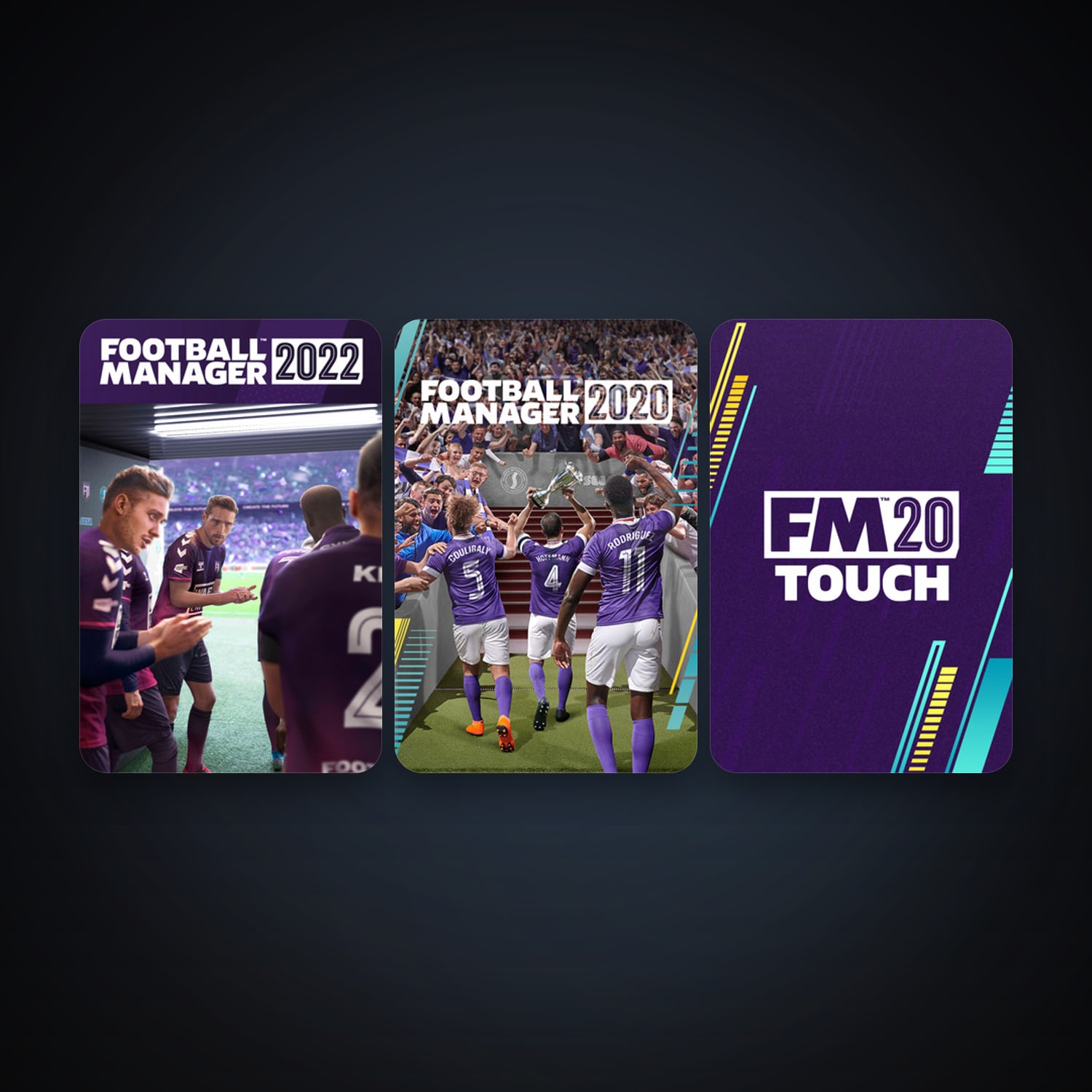 Football Manager 2020 + Football Manager 2020 Touch, 3 games, clean — HabibiAccounts