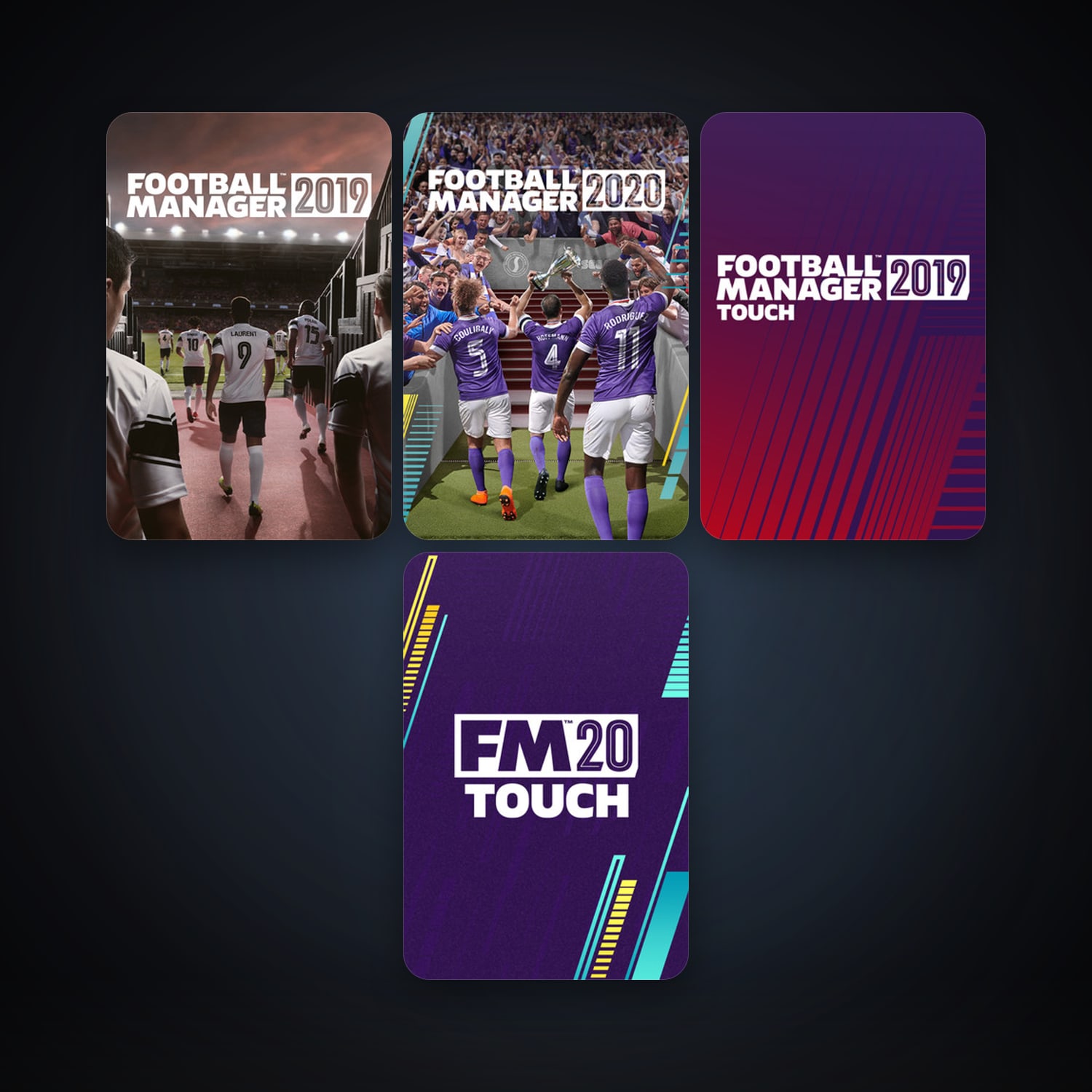 Football Manager 2019 + Football Manager 2019 Touch, 4 games, clean — HabibiAccounts