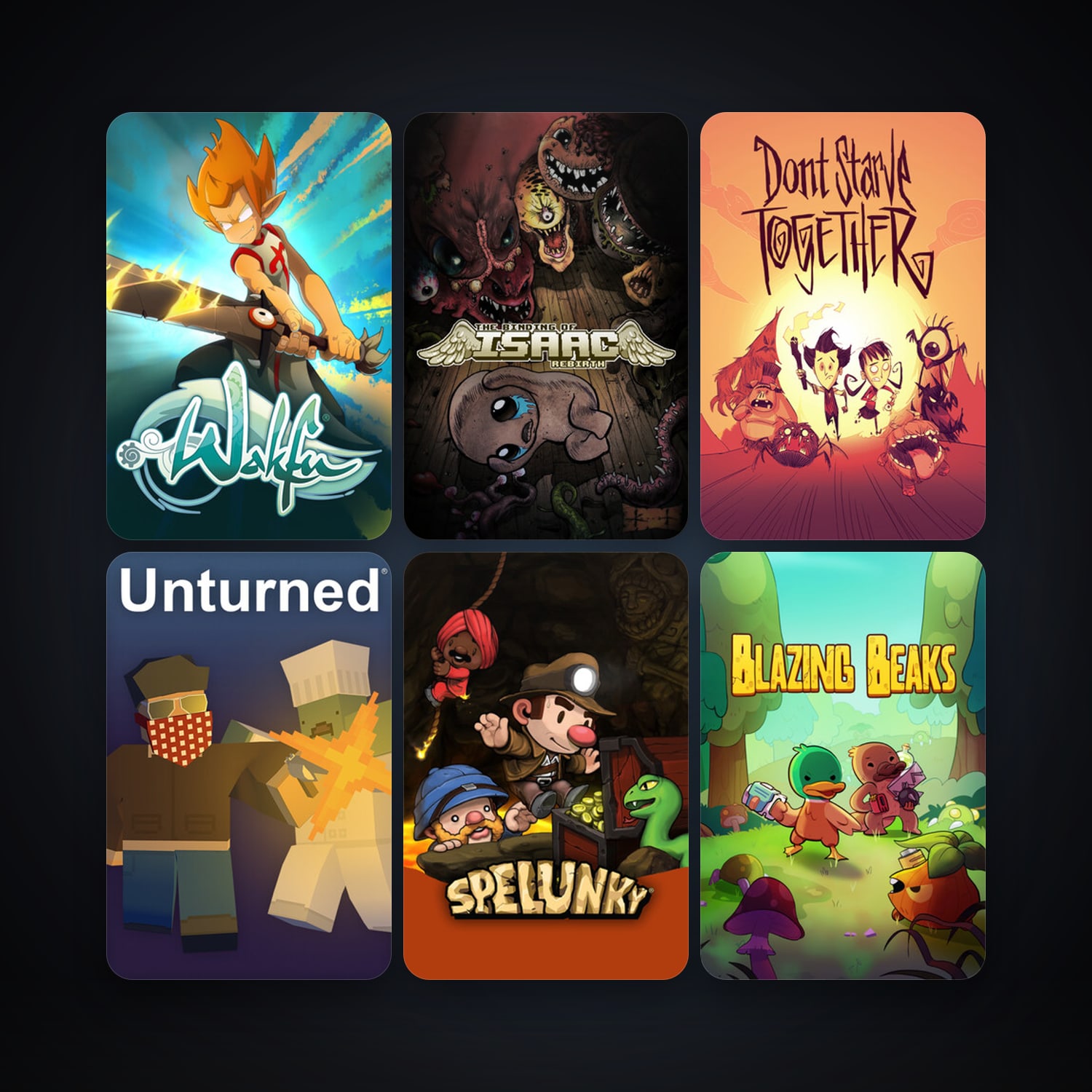 WAKFU + Path of Exile, 64 games, Steam 10, clean — HabibiAccounts