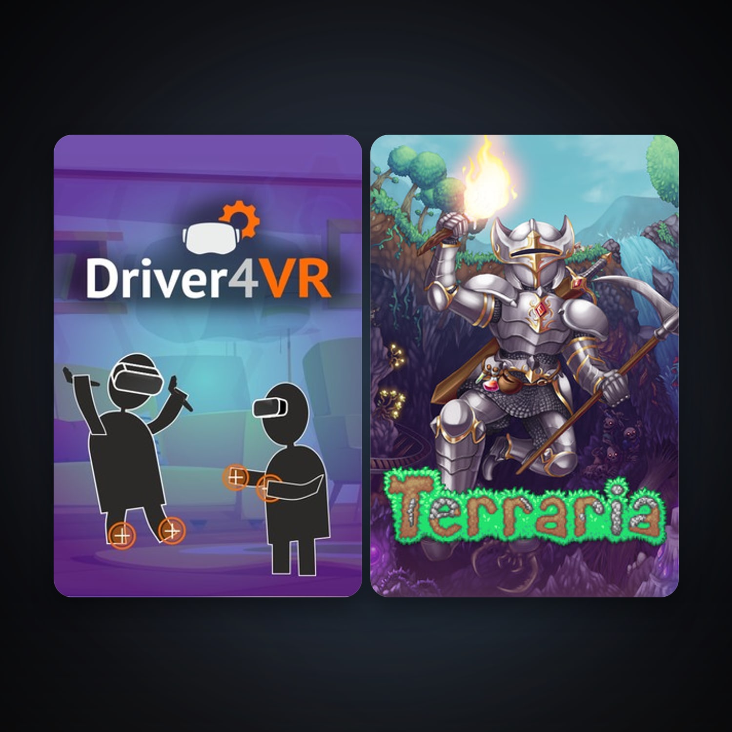 Terraria + Driver4VR, 2 games, clean — HabibiAccounts