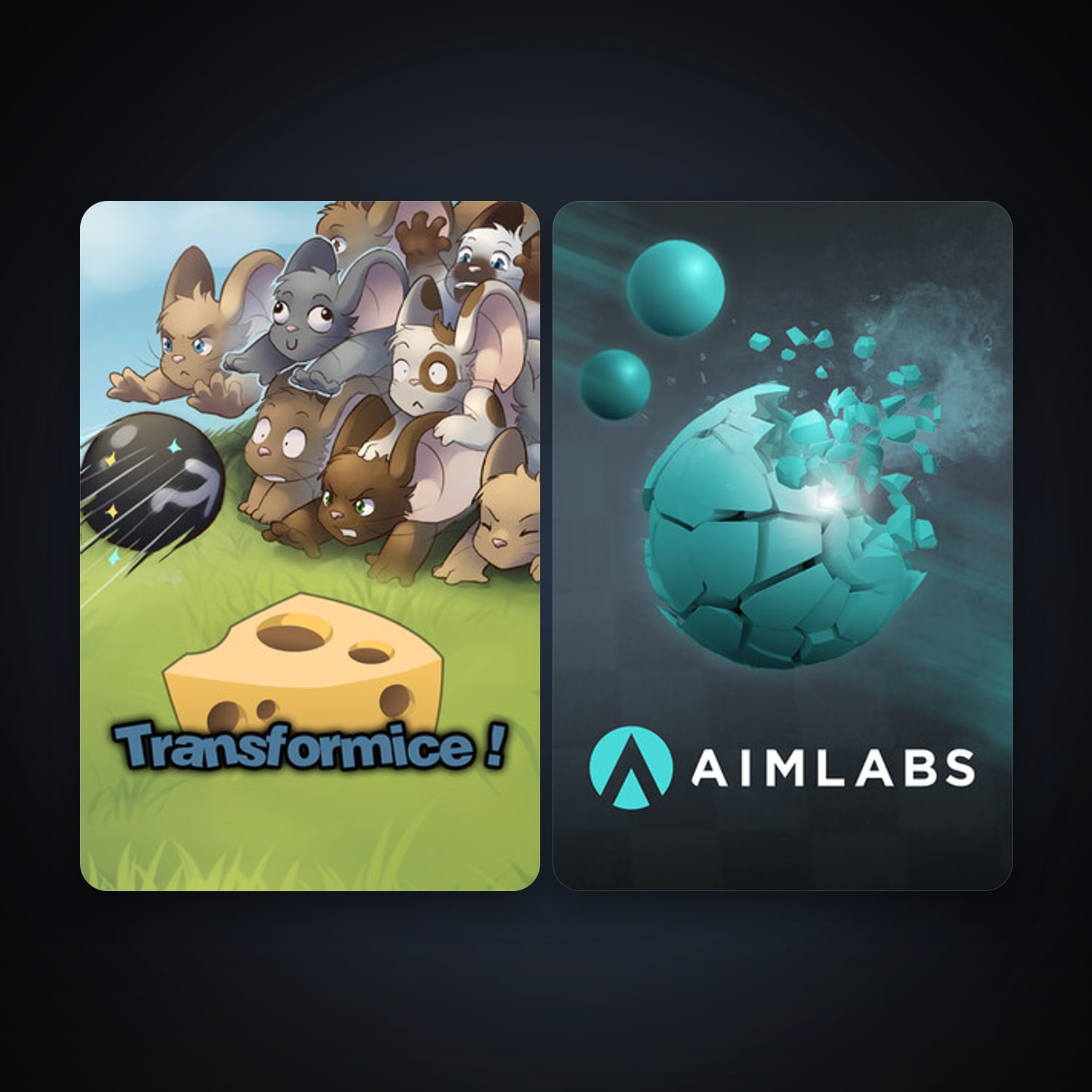 Transformice + Aimlabs, 3 games, clean — HabibiAccounts