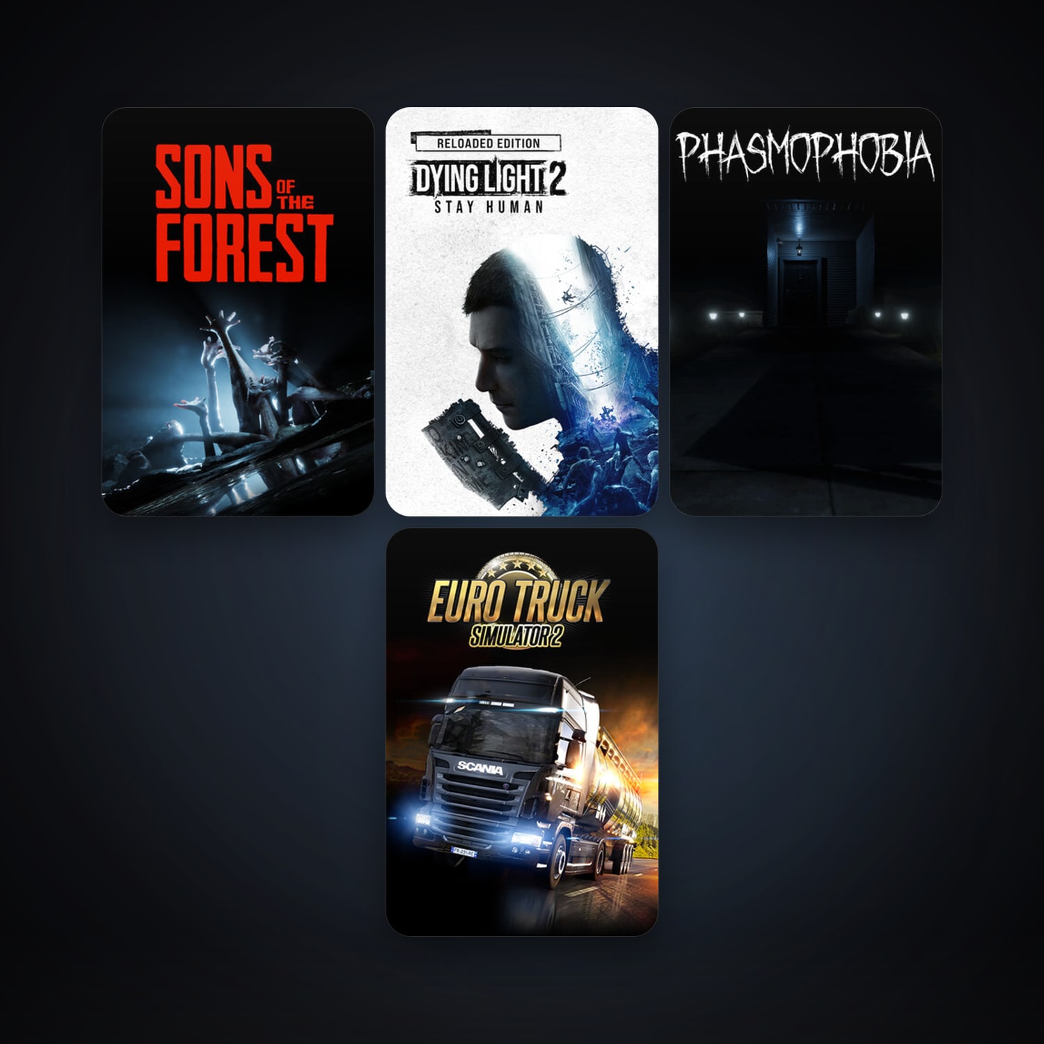 Free CS2 (No Prime) + Euro Truck Simulator 2, 13 games, clean — HabibiAccounts