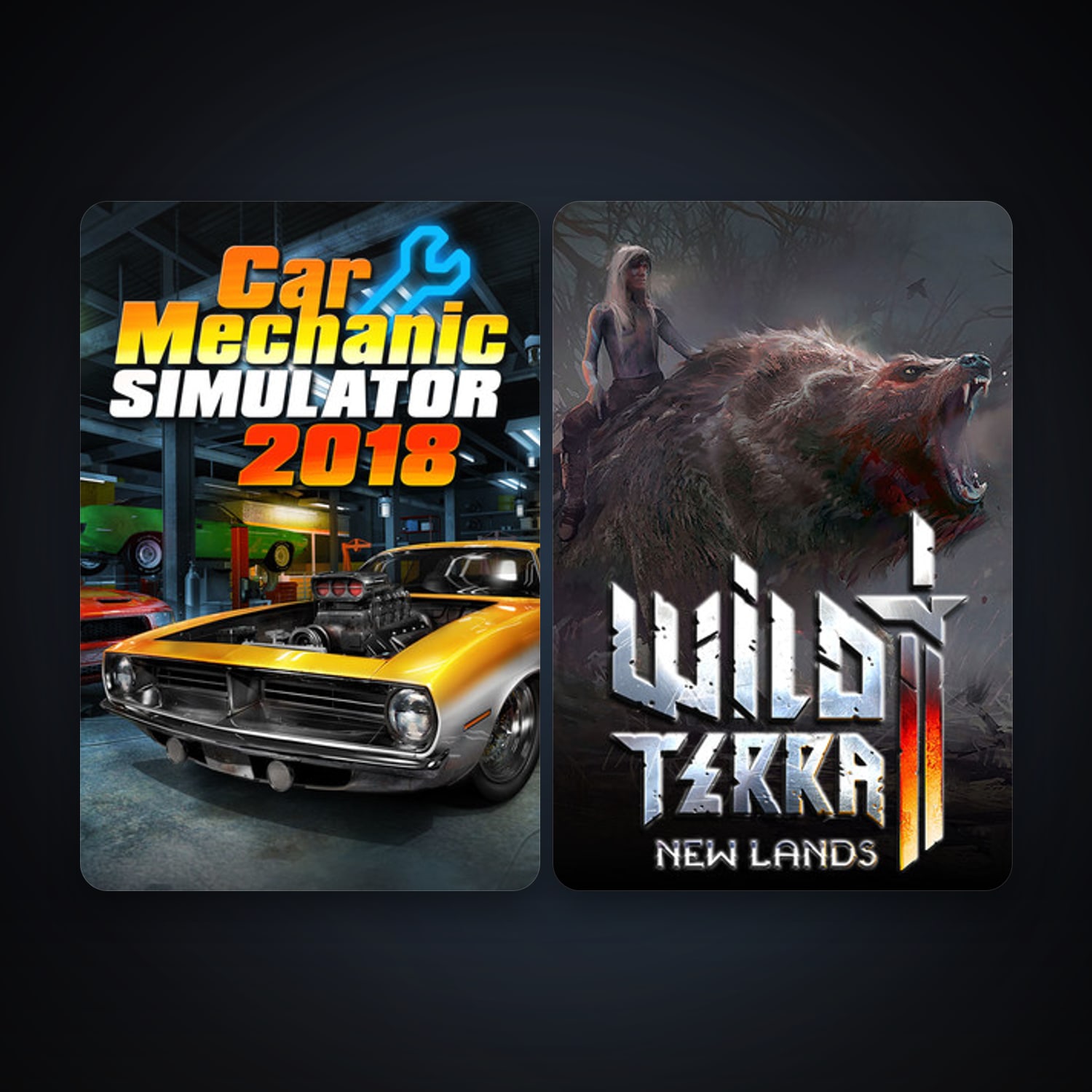 Free CS2 (No Prime) + Car Mechanic Simulator 2018, 11 games, clean — HabibiAccounts
