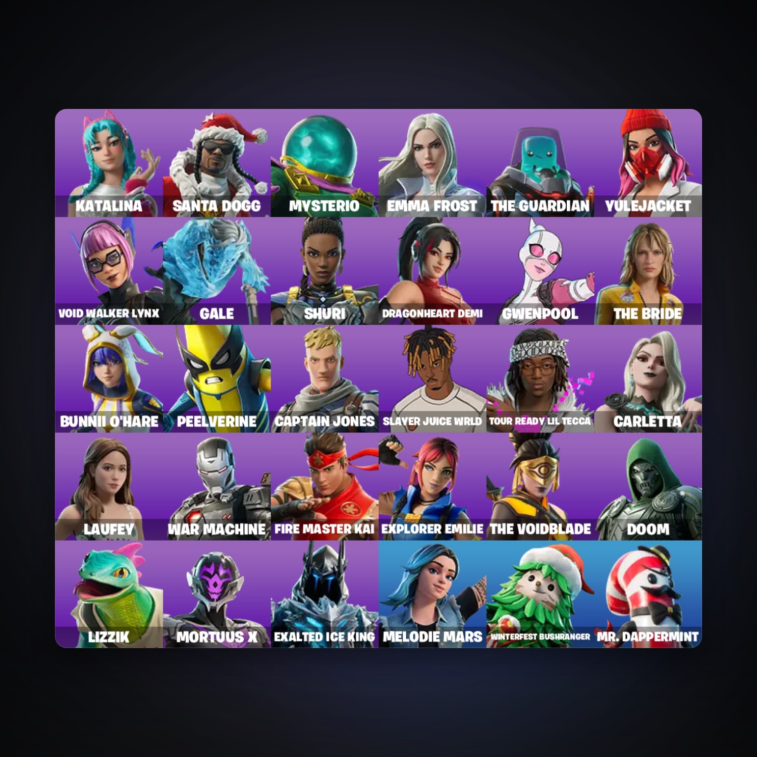 حساب فورتنايت Santa Dogg وMysterio، لوكر 31 سكن، 1.2K فيبوكس، لفل 521، 28 فوز — HabibiAccounts