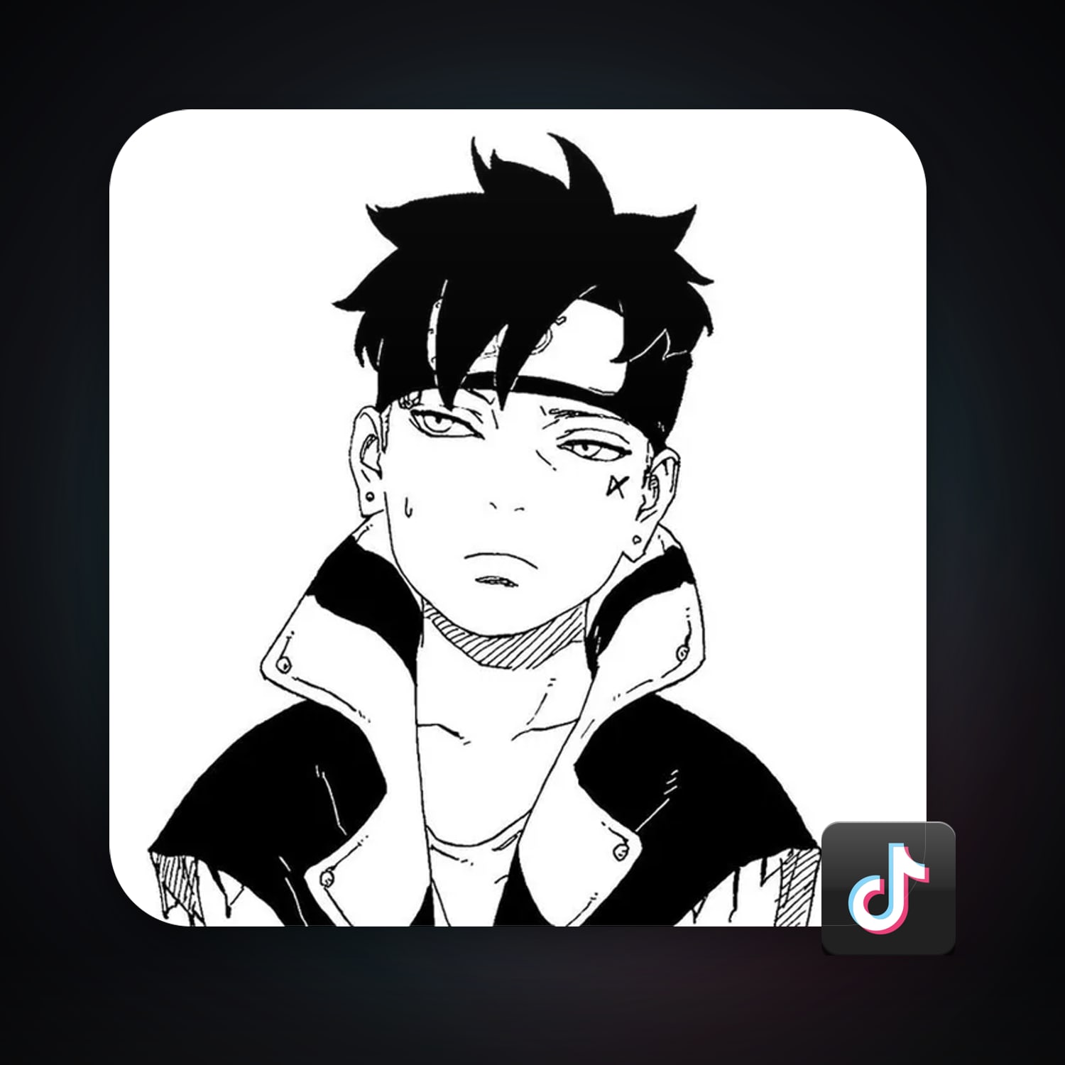 TikTok 369 followers — HabibiAccounts
