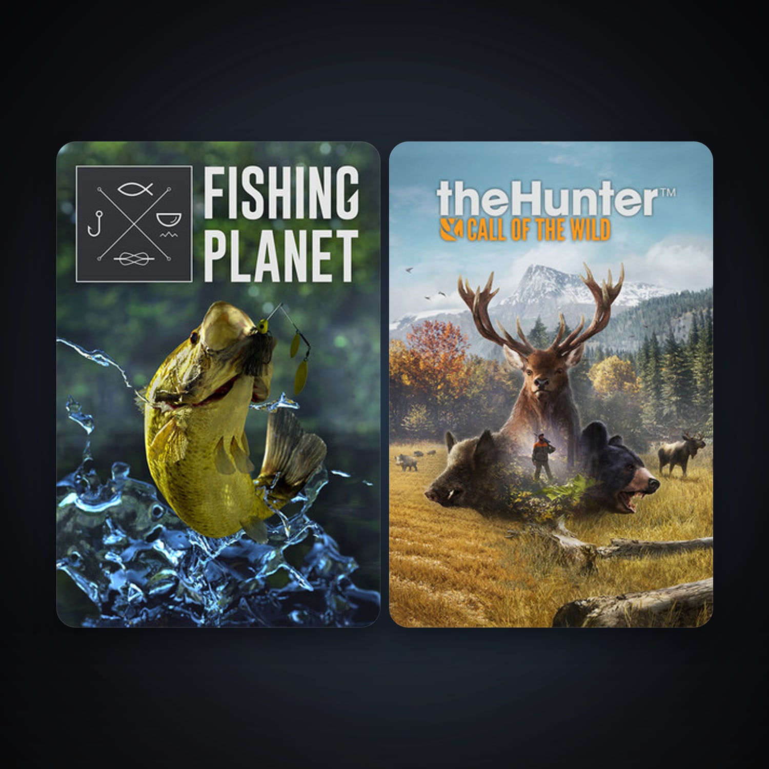 حساب ستيم فلين، Fishing Planet وtheHunter: Call of the Wild، 2 لعبة، صامد واضح — HabibiAccounts