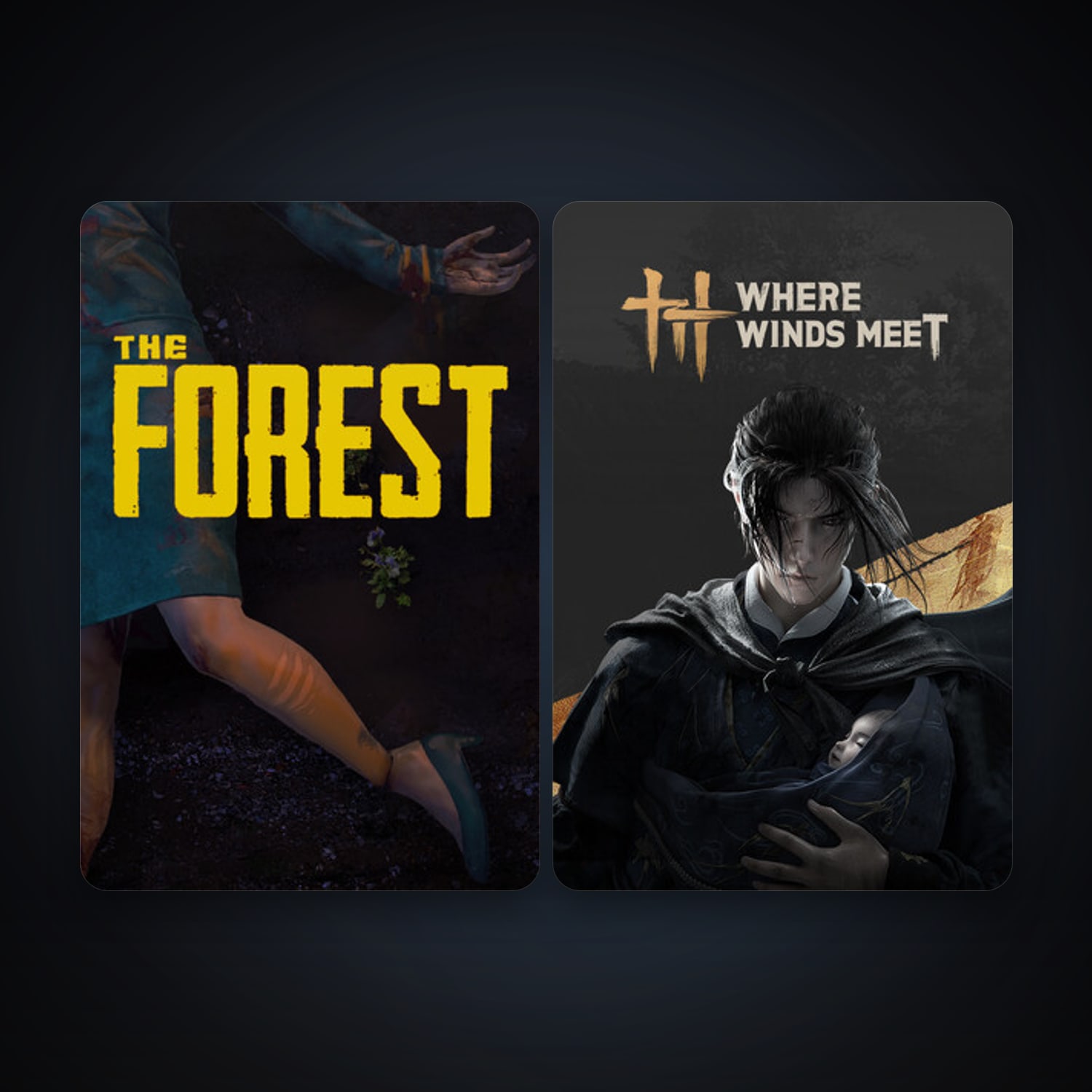 The Forest + Where Winds Meet, 2 games, clean — HabibiAccounts