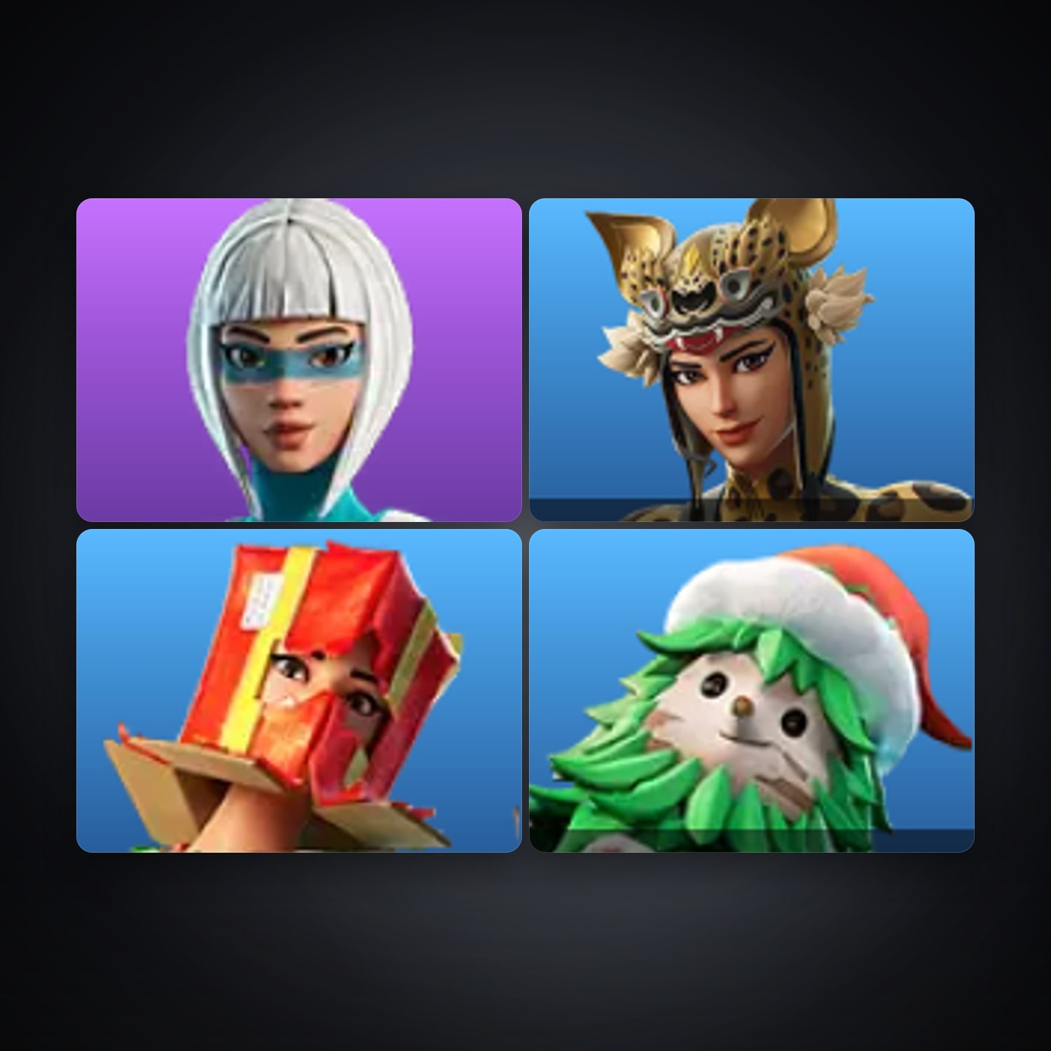 Epic — HabibiAccounts