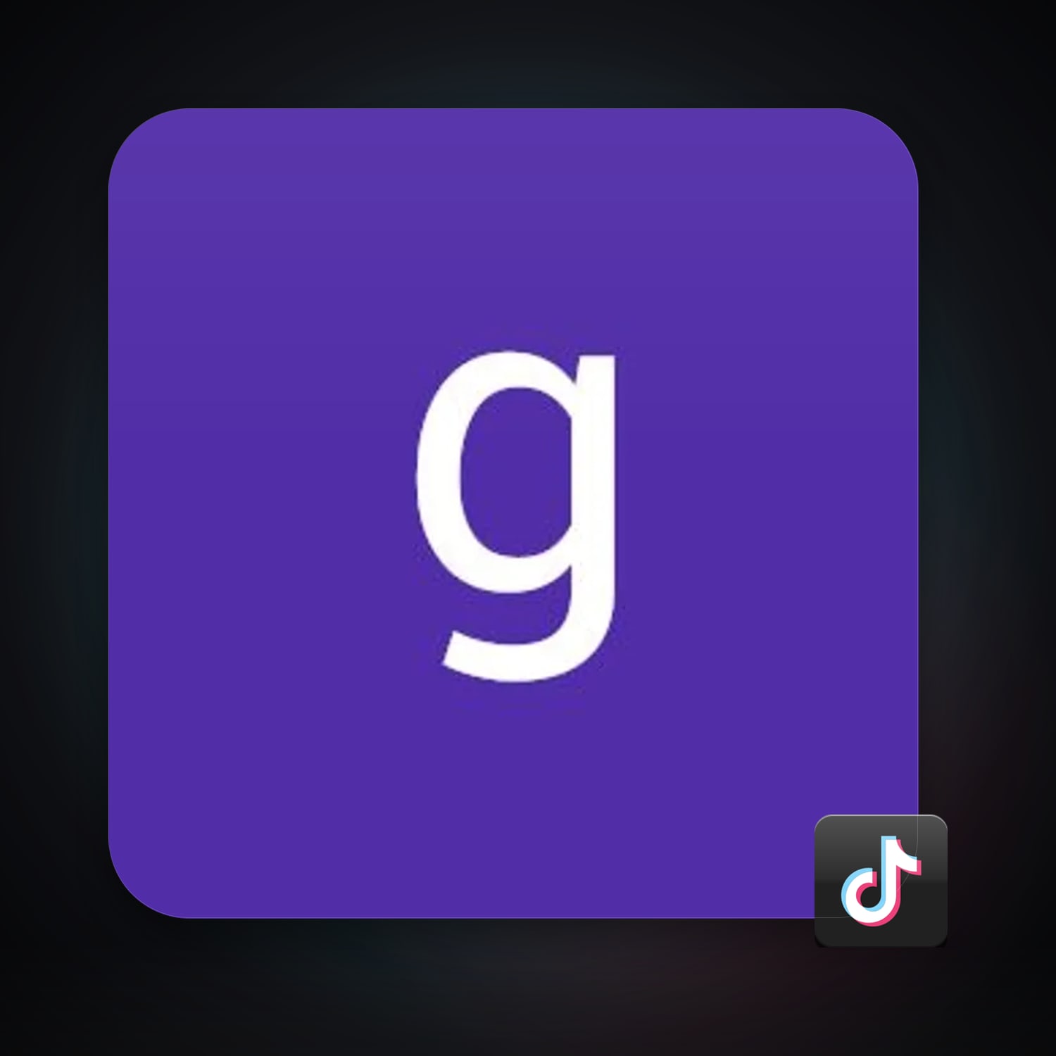 TikTok — HabibiAccounts