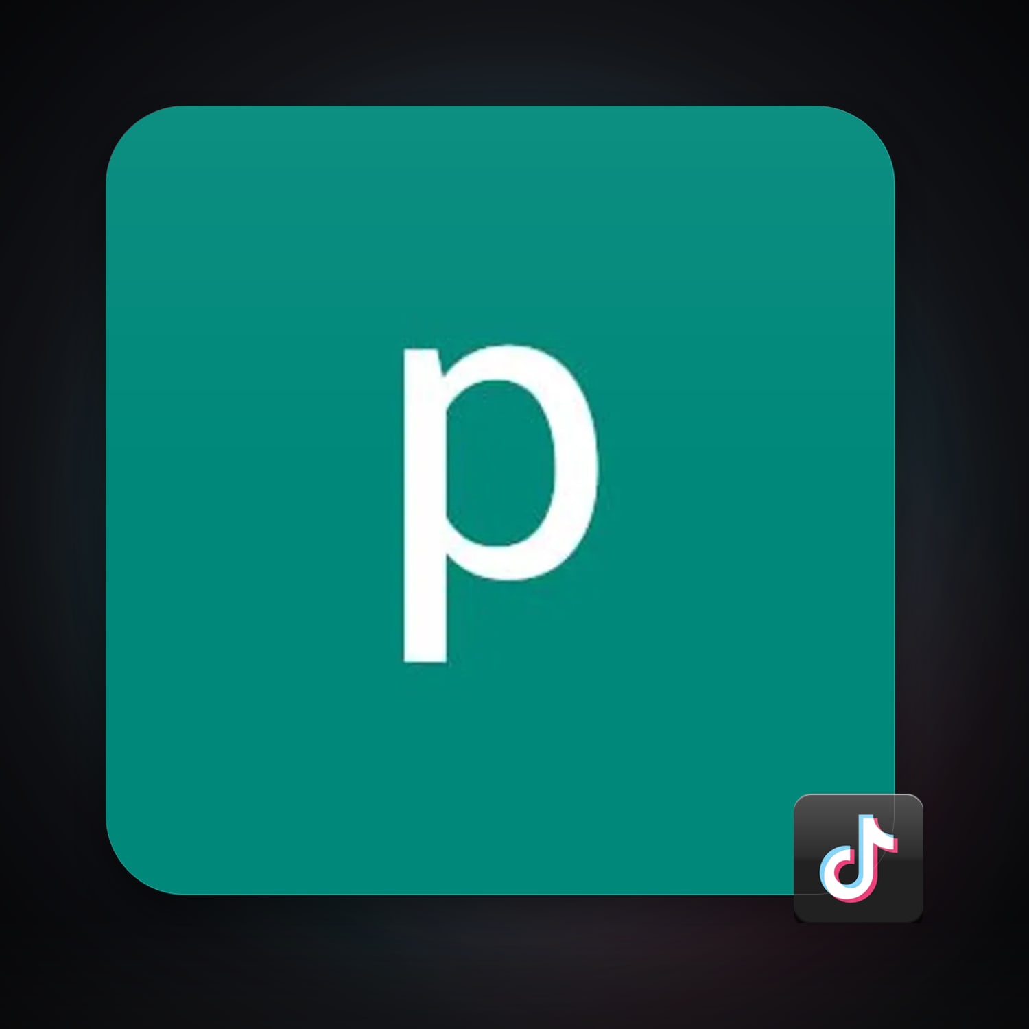TikTok — HabibiAccounts