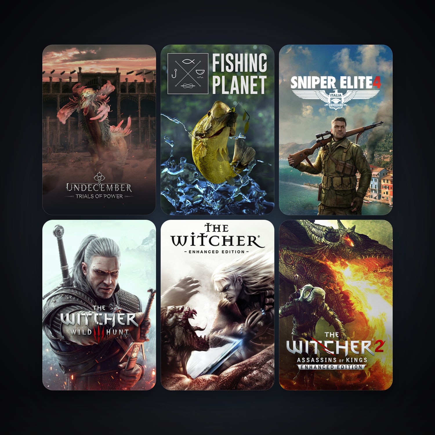 The Witcher: Enhanced Edition Director's Cut + The Witcher 2: Assassins of Kings Enhanced Edition, 7 games, clean — HabibiAccounts