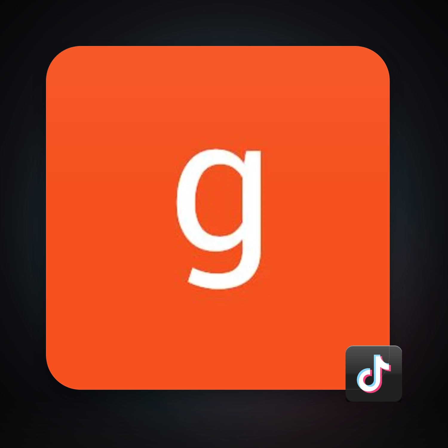 TikTok — HabibiAccounts