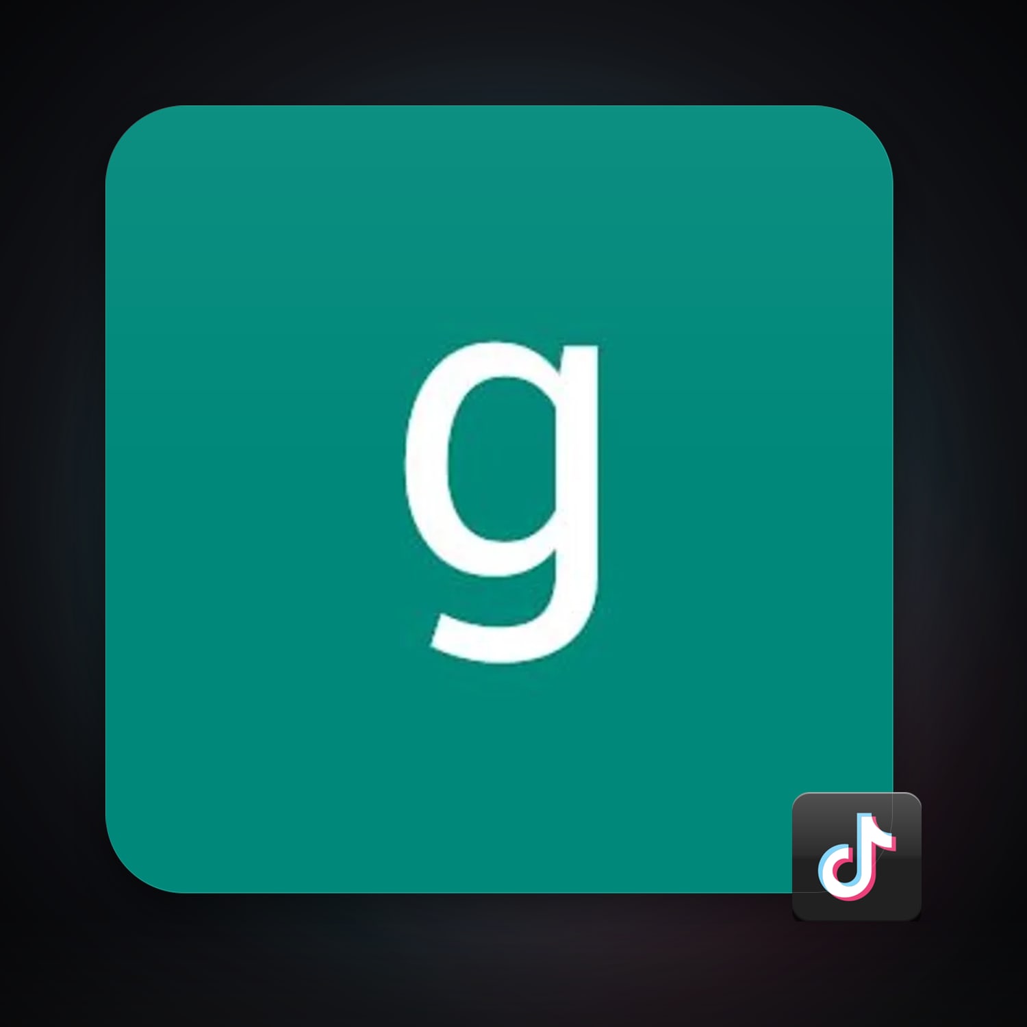 TikTok — HabibiAccounts