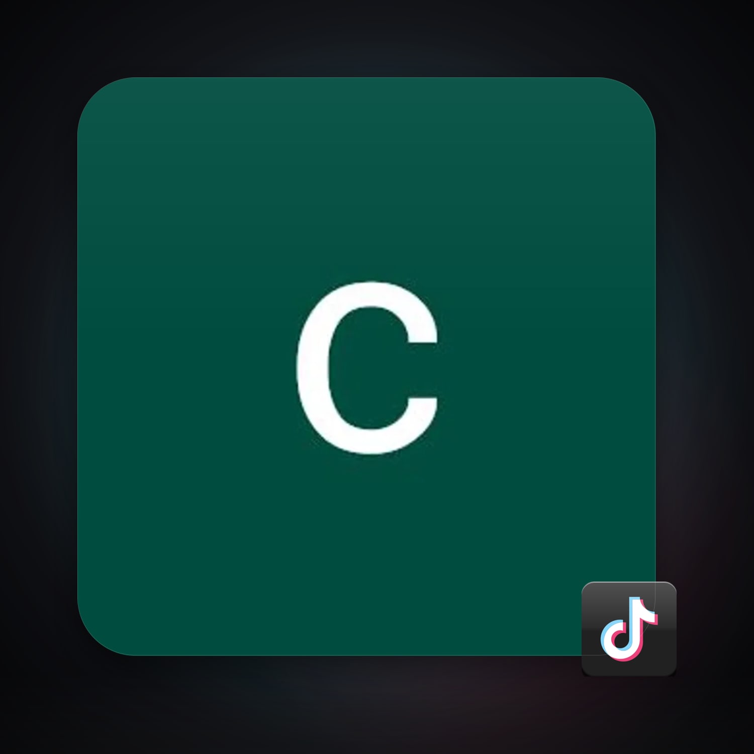 TikTok — HabibiAccounts