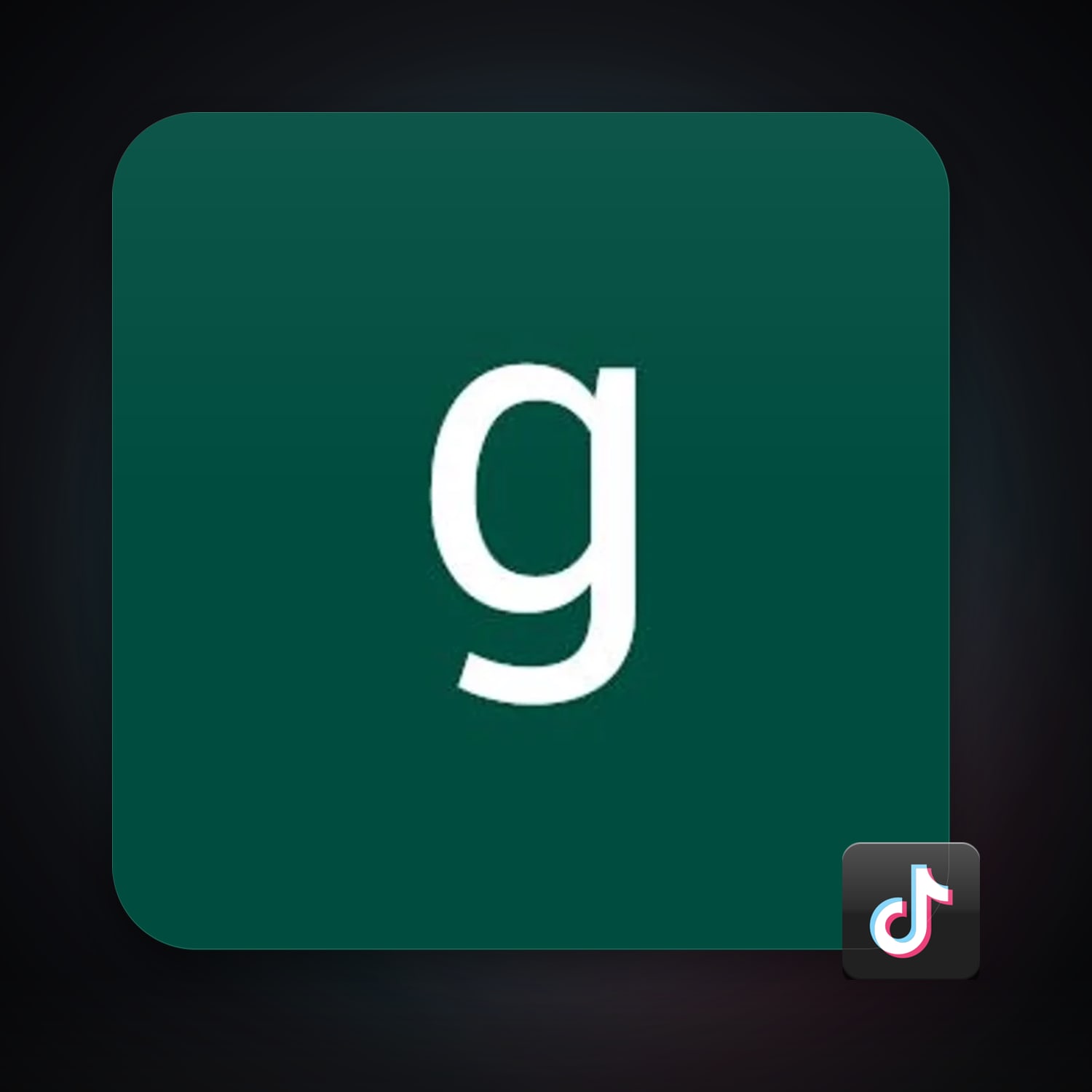 TikTok — HabibiAccounts