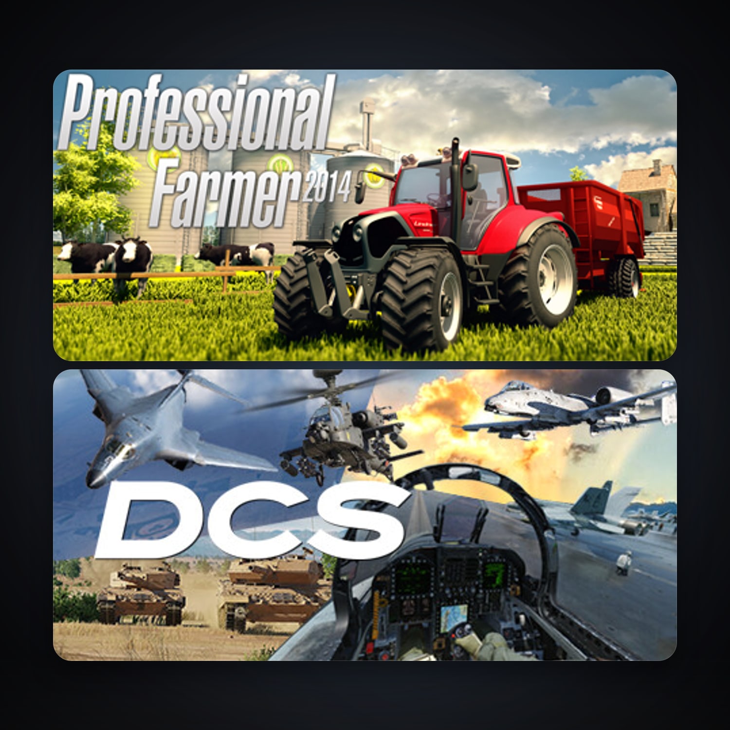 DCS World Steam Edition + Professional Farmer 2014, 3 games, clean — HabibiAccounts