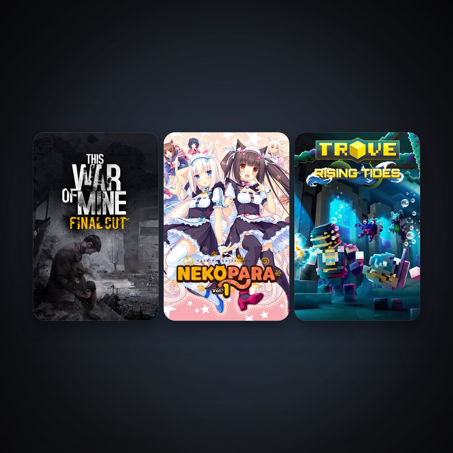 This War of Mine + Trove, 3 games, clean — HabibiAccounts