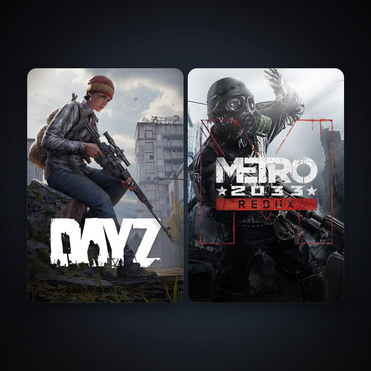 DayZ + Metro 2033 Redux, 2 games, clean — HabibiAccounts