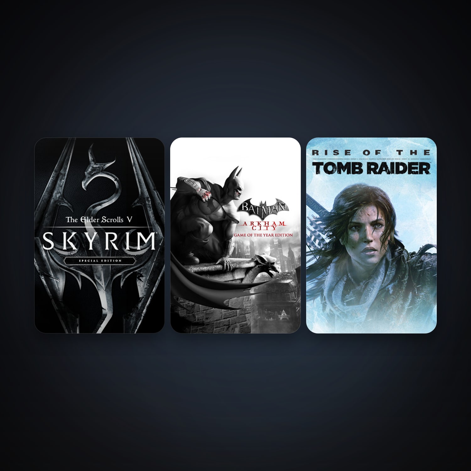 Batman: Arkham City - Game of the Year Edition + Rise of the Tomb Raider, 3 games, clean — HabibiAccounts