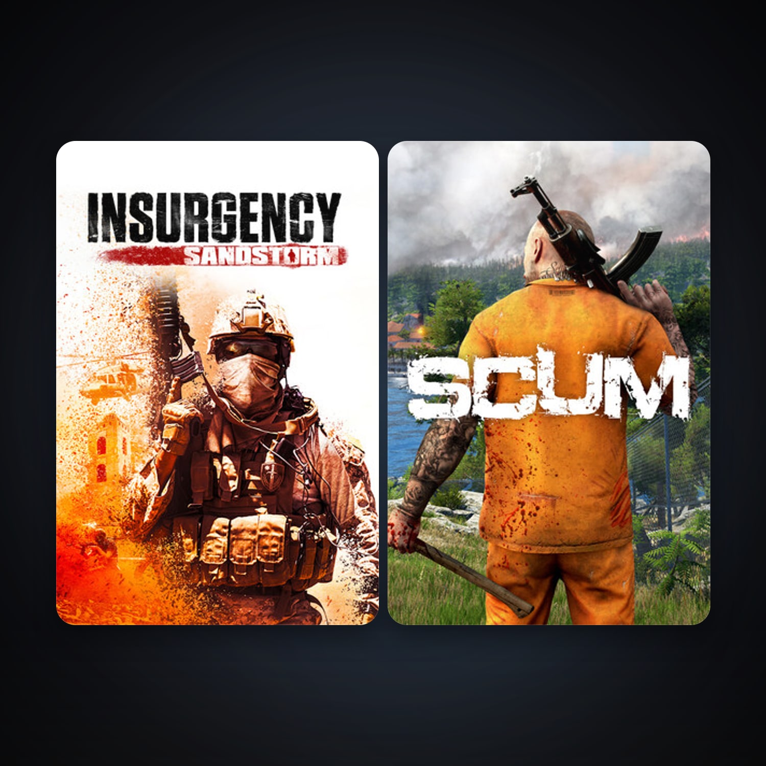 SCUM + Insurgency: Sandstorm, 2 games, clean — HabibiAccounts