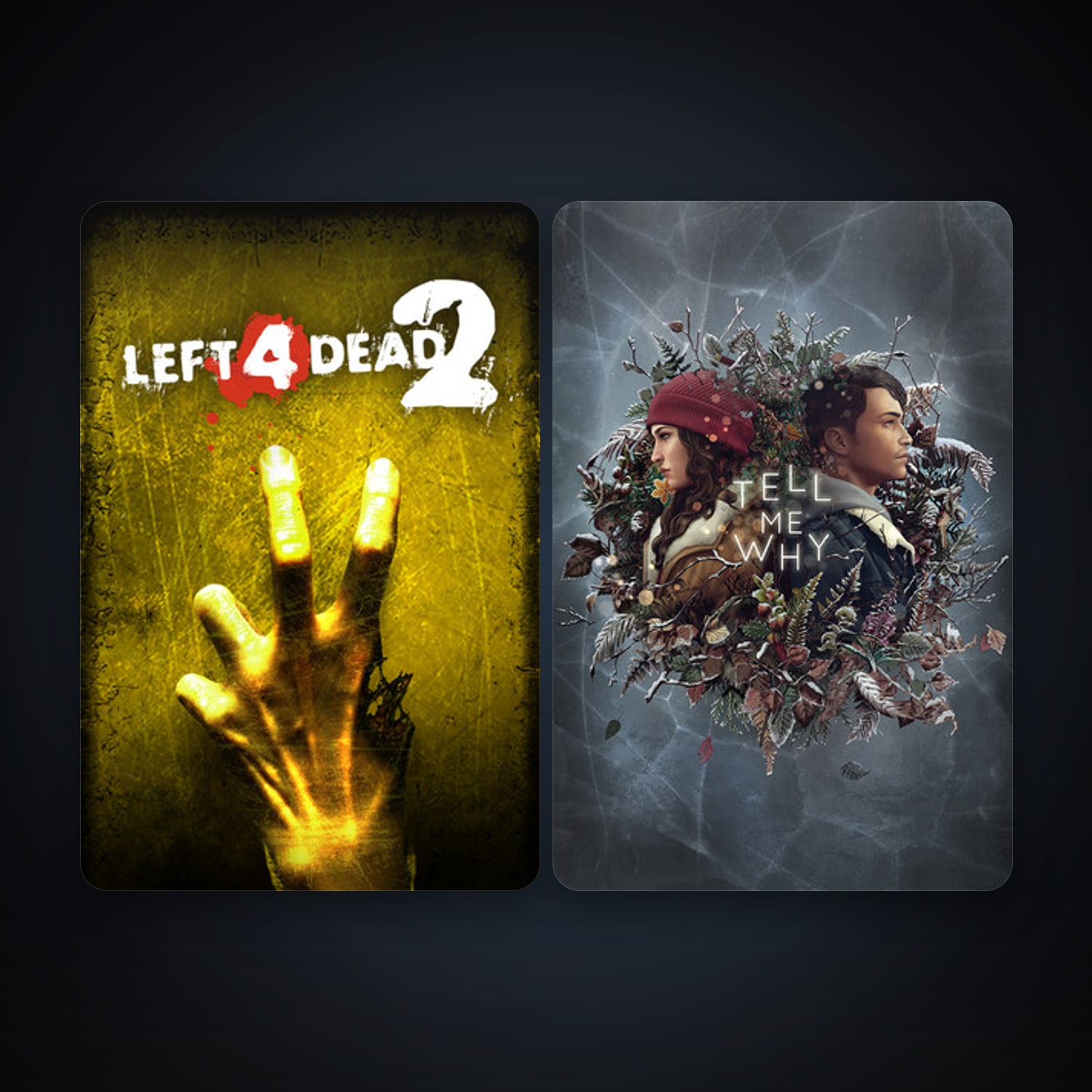 Left 4 Dead 2 + Tell Me Why, 2 games, clean — HabibiAccounts
