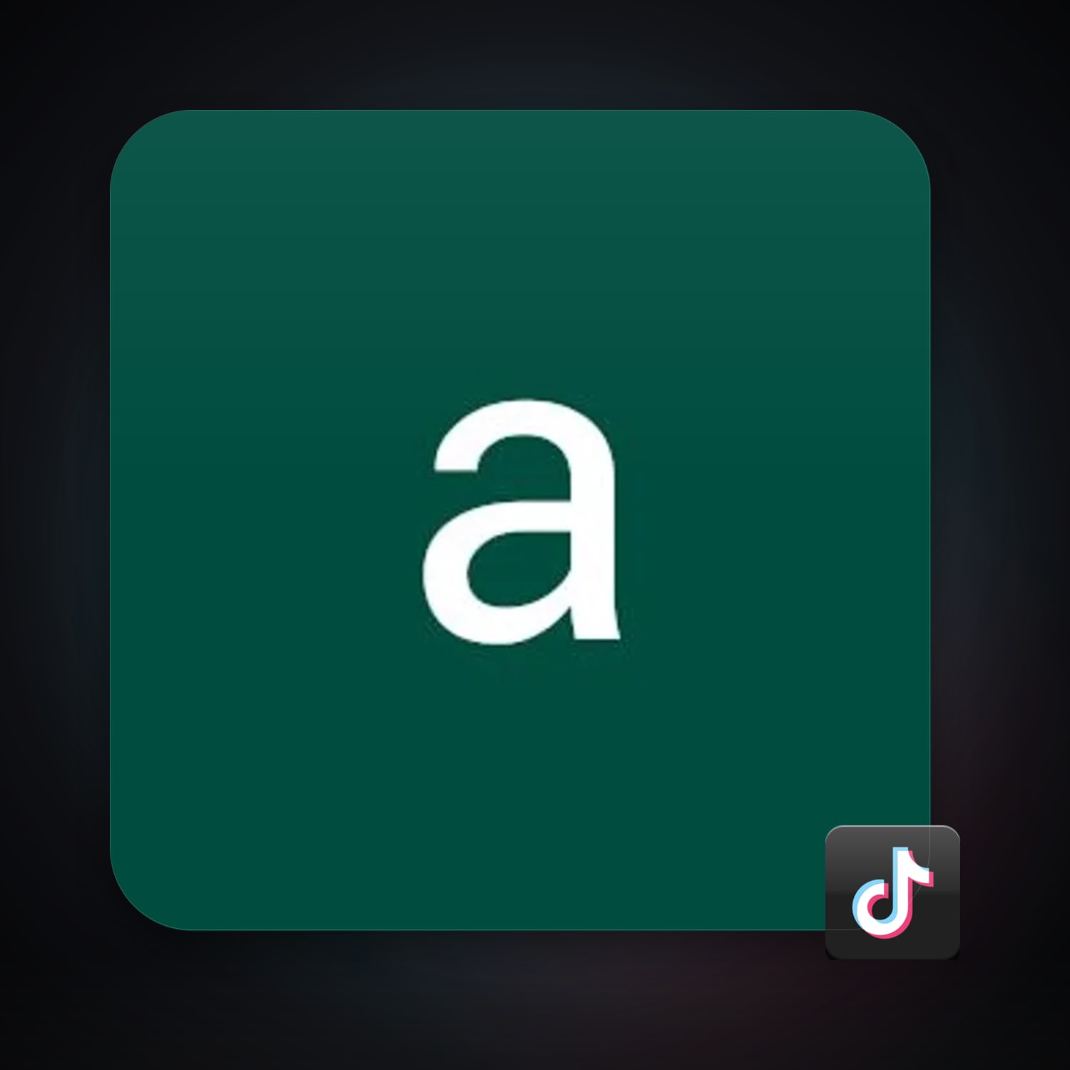 TikTok — HabibiAccounts