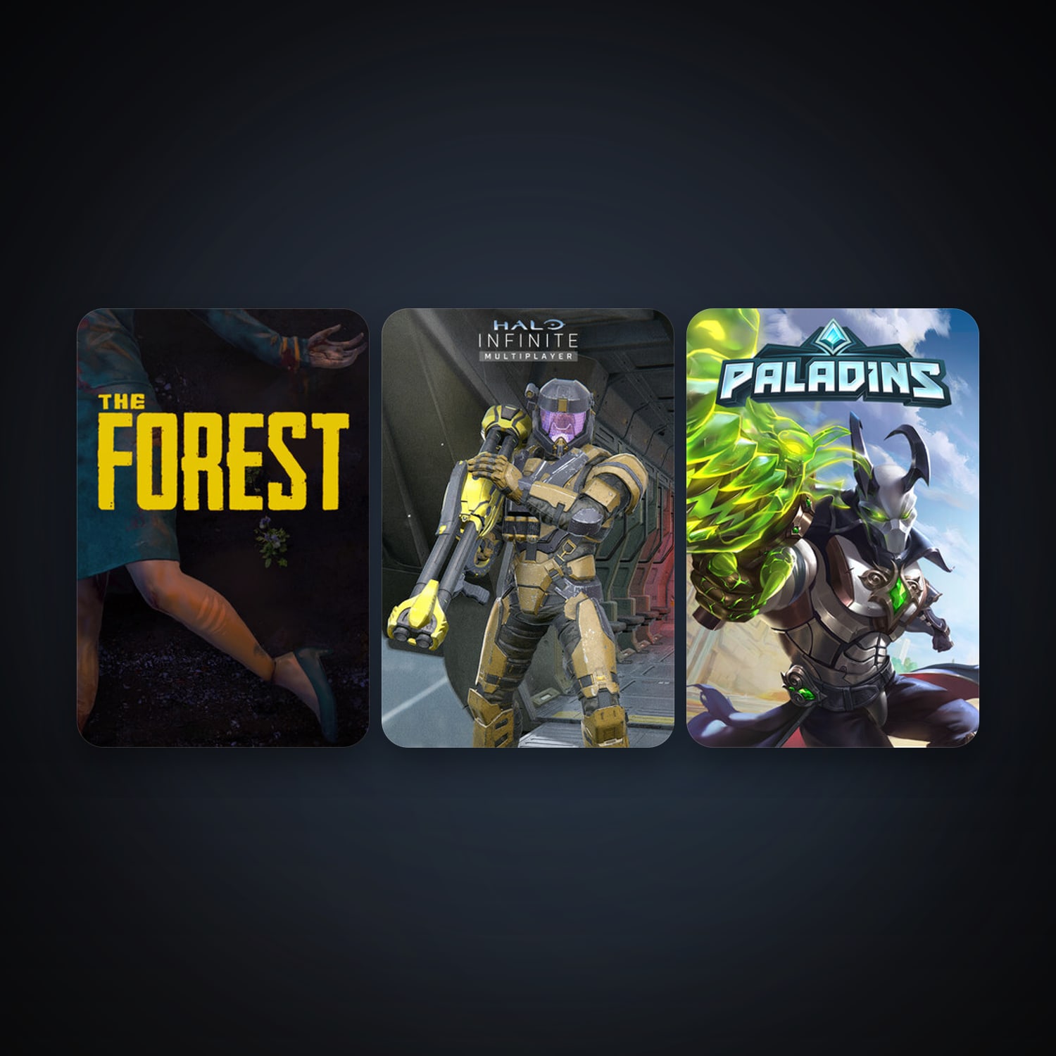 The Forest + Paladins, 4 games, clean — HabibiAccounts