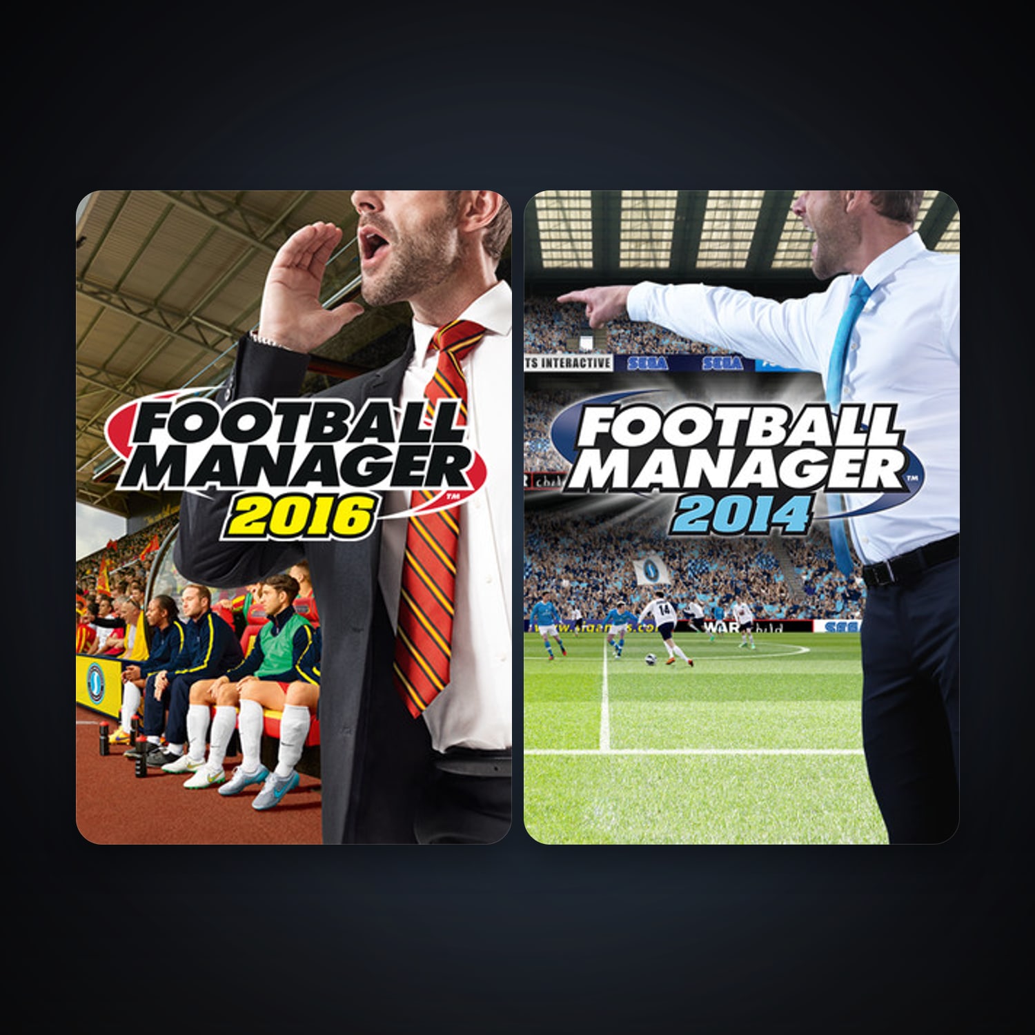Football Manager 2014 + Football Manager 2016, 2 games, clean — HabibiAccounts