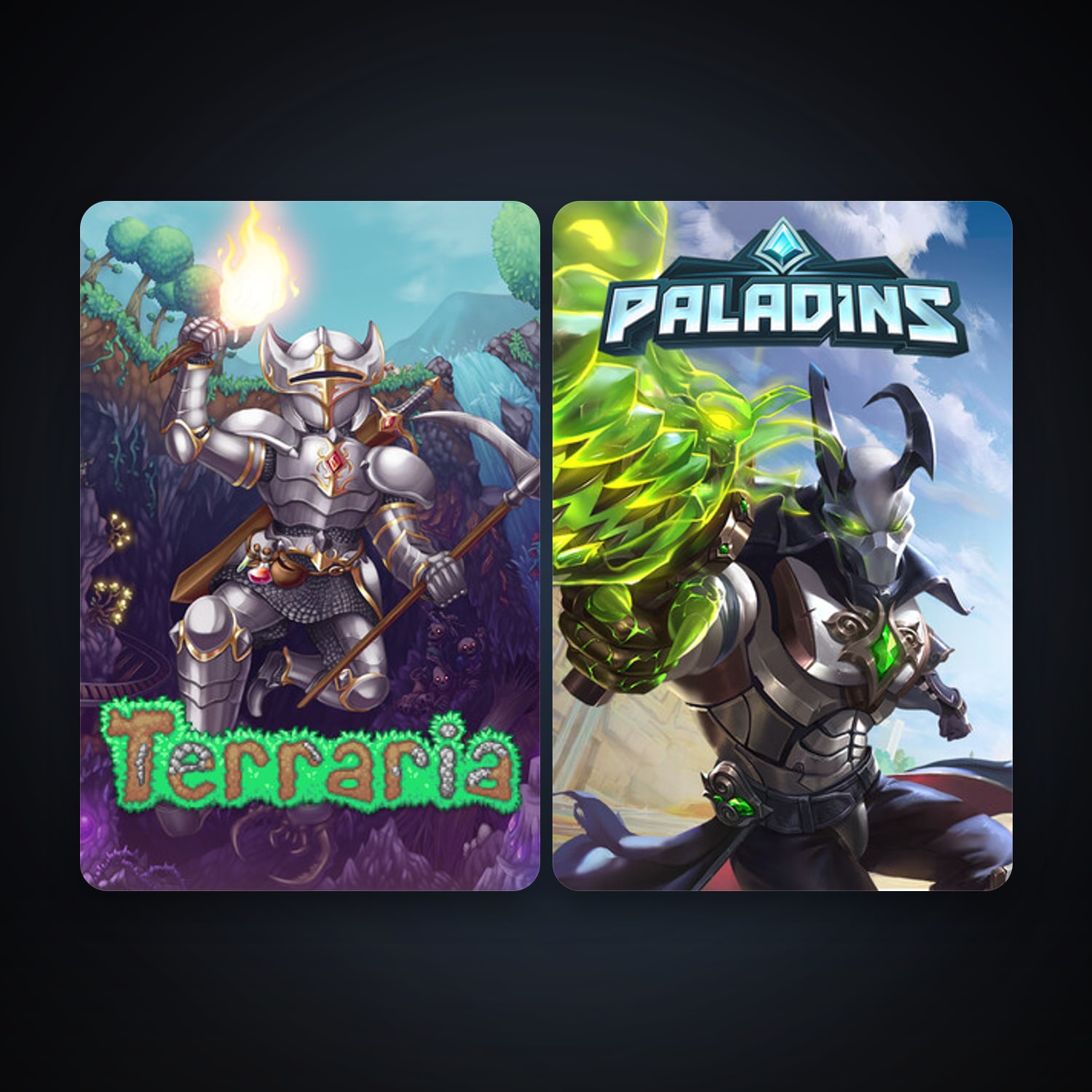 Terraria + Paladins, 3 games, clean — HabibiAccounts