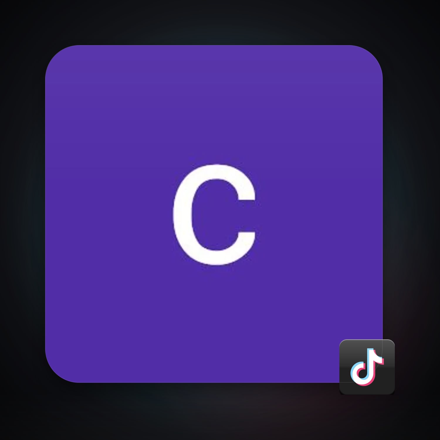 TikTok — HabibiAccounts