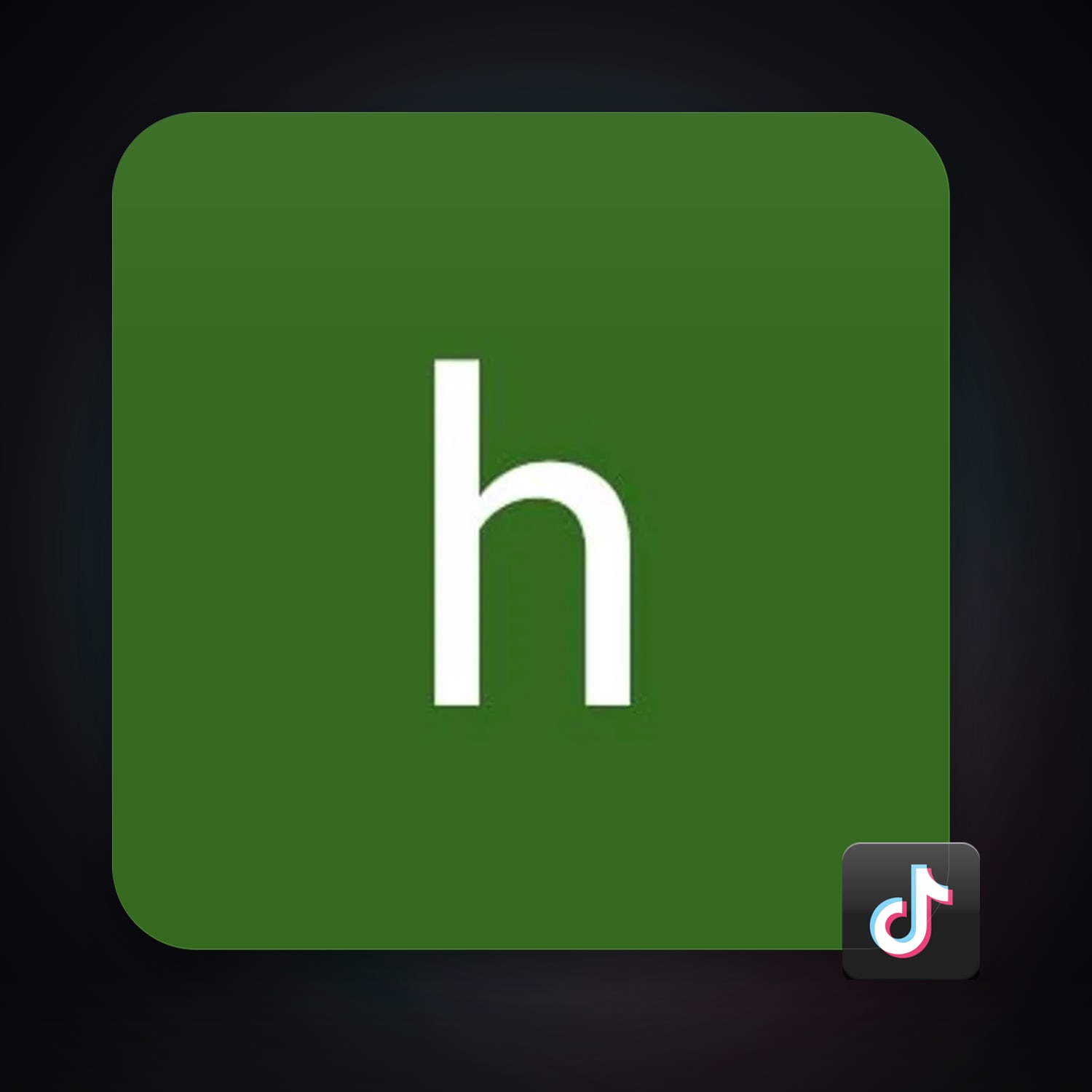 TikTok — HabibiAccounts