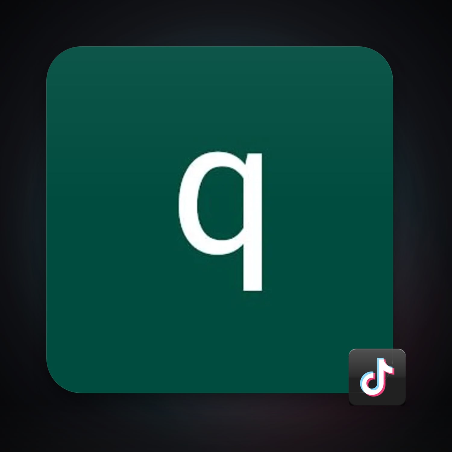 TikTok — HabibiAccounts