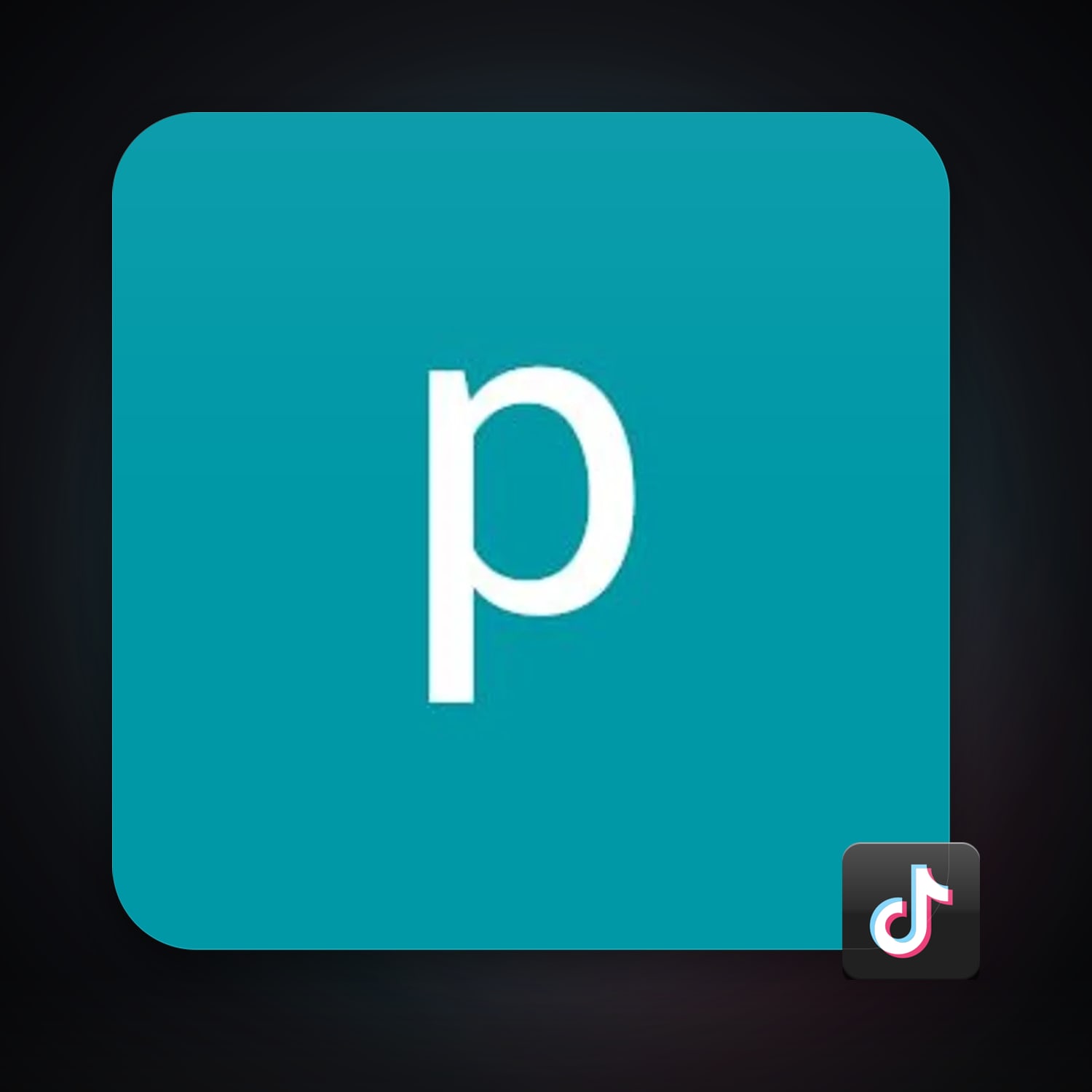 TikTok — HabibiAccounts