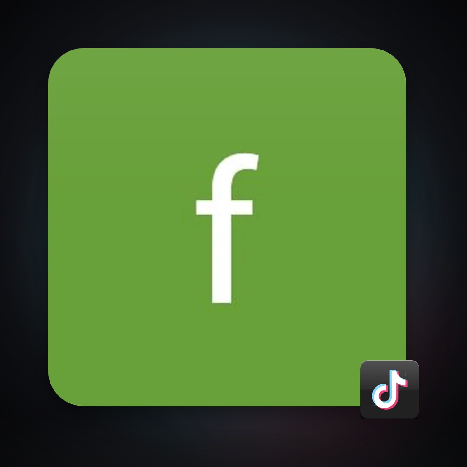 TikTok — HabibiAccounts