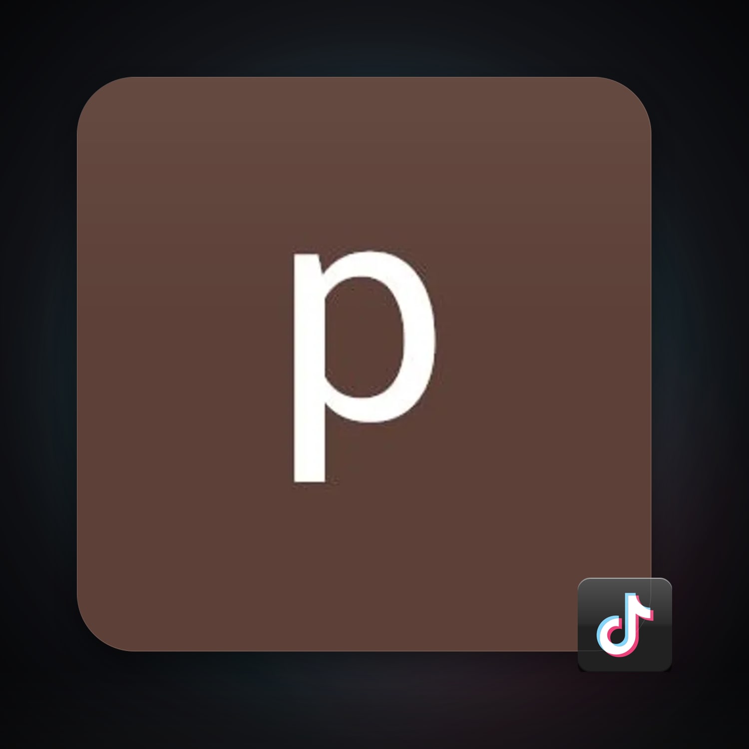 TikTok — HabibiAccounts