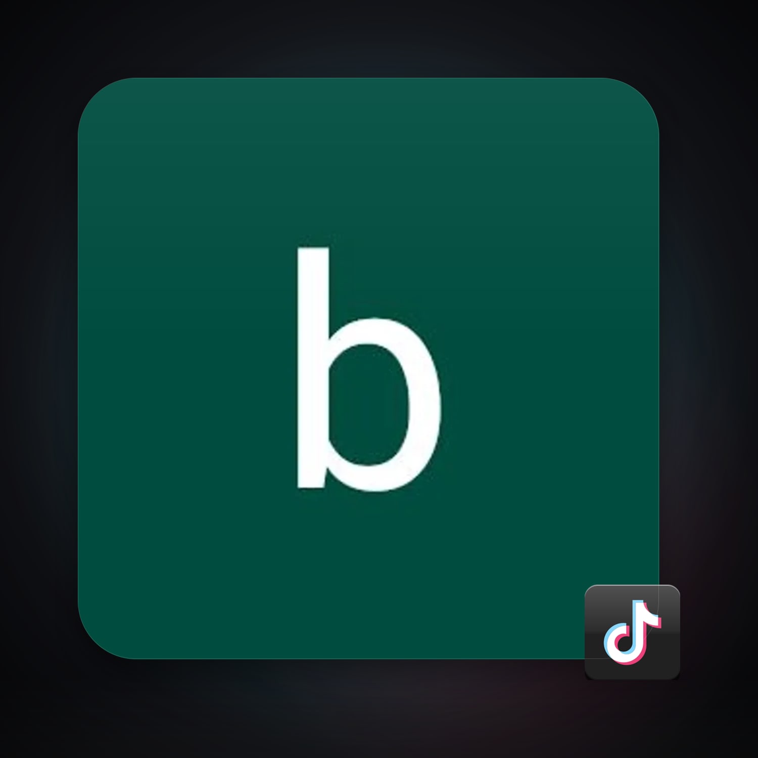 TikTok — HabibiAccounts
