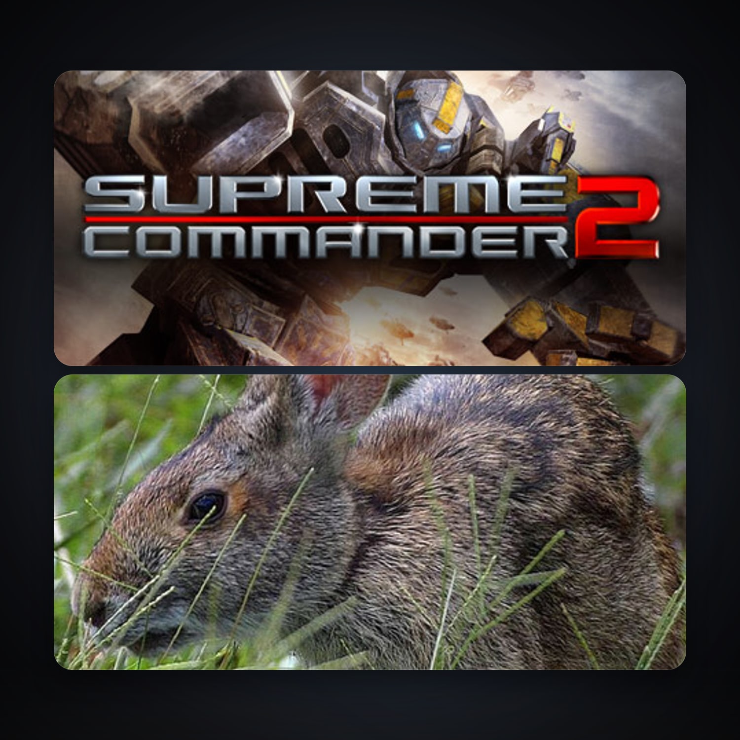 Supreme Commander 2 + Warhammer 40,000: Dawn of War - Definitive Edition, 2 games, clean — HabibiAccounts