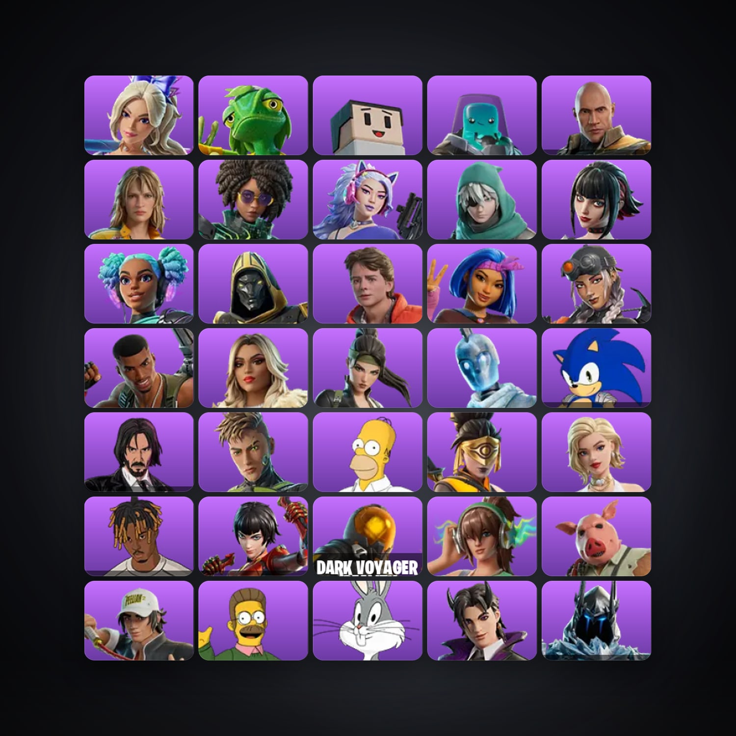 Fortnite account with Haylee Skye & Ziggy — 61 skins — 1.1K V-Bucks — lvl 1316 — HabibiAccounts