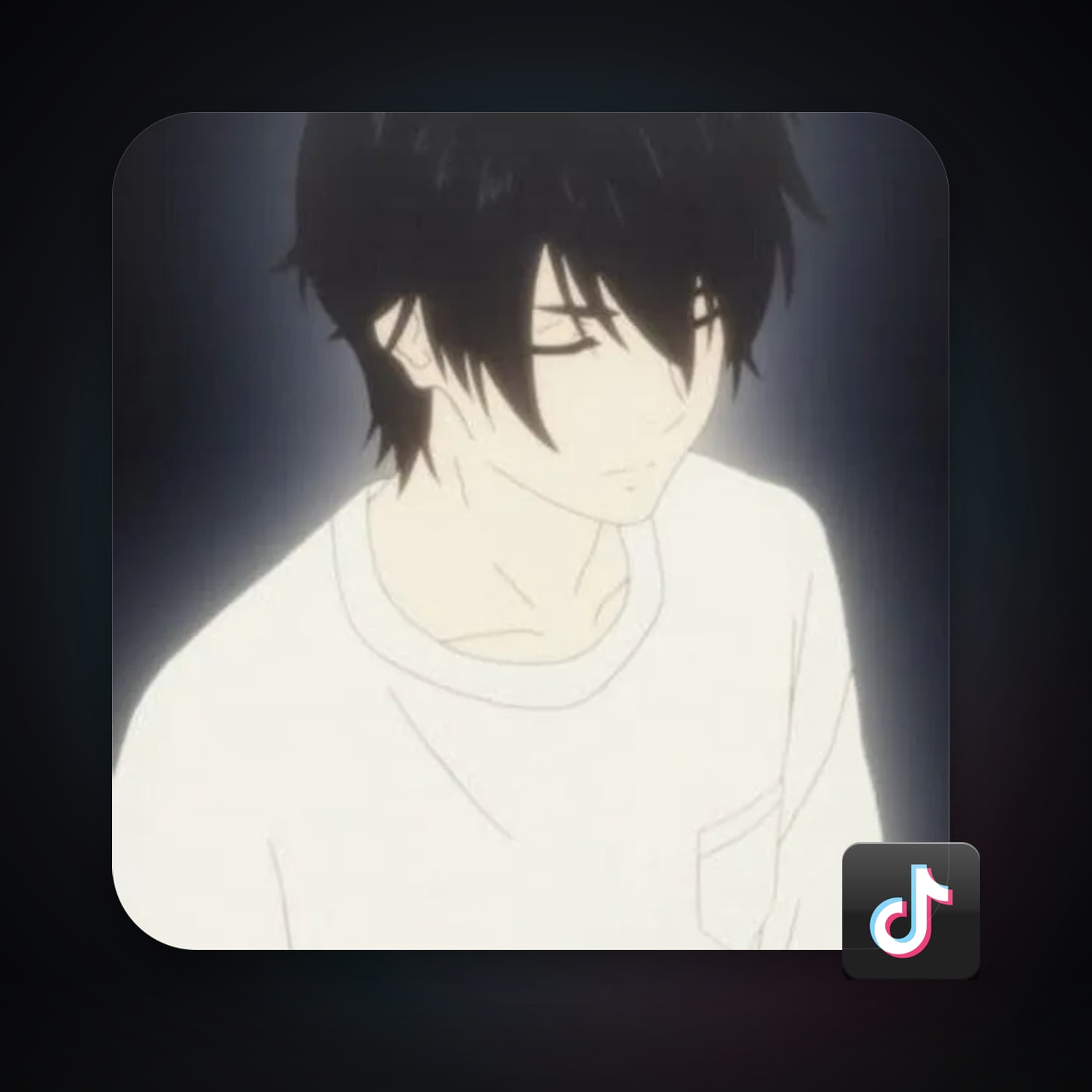 TikTok 301 followers — HabibiAccounts