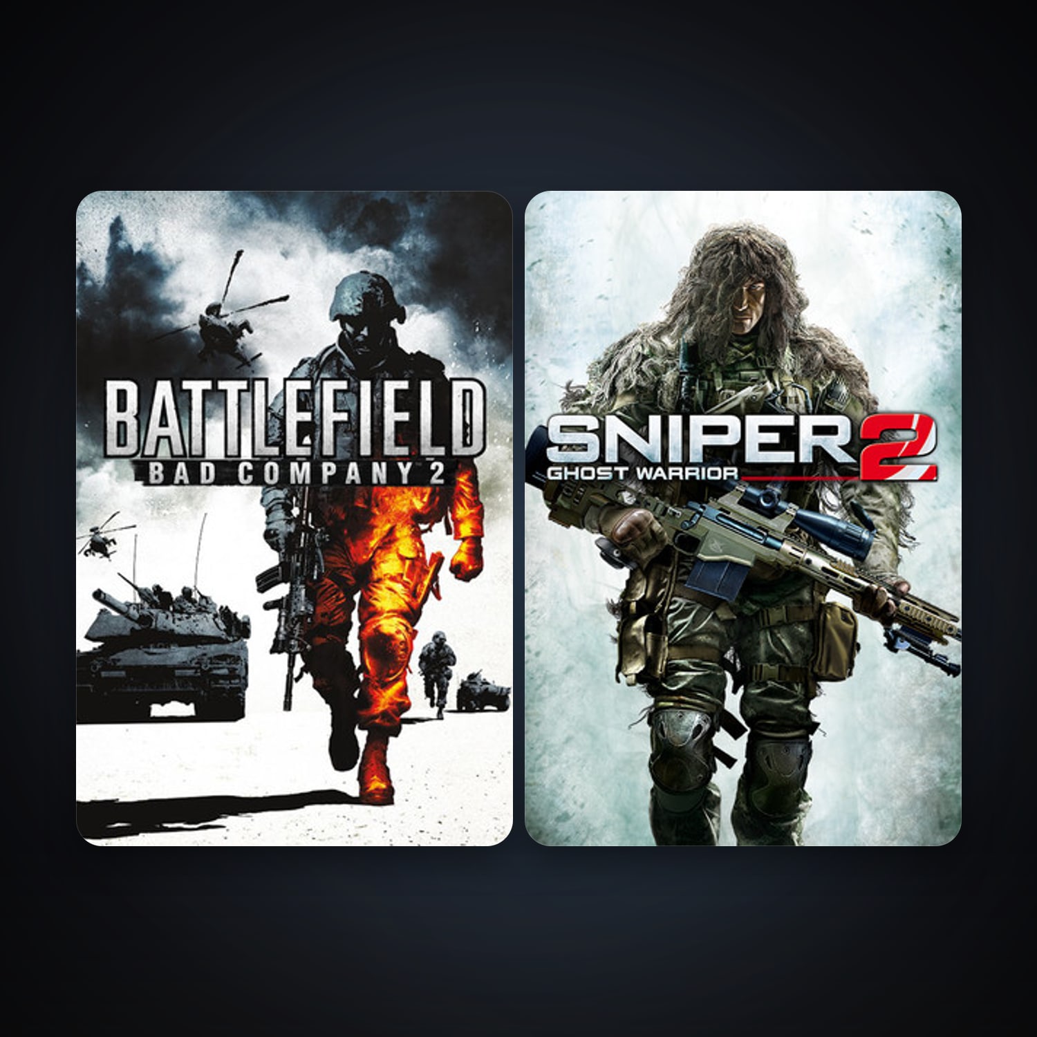 Steam account: Battlefield: Bad Company 2 + Sniper: Ghost Warrior 2, 4 games, clean — HabibiAccounts