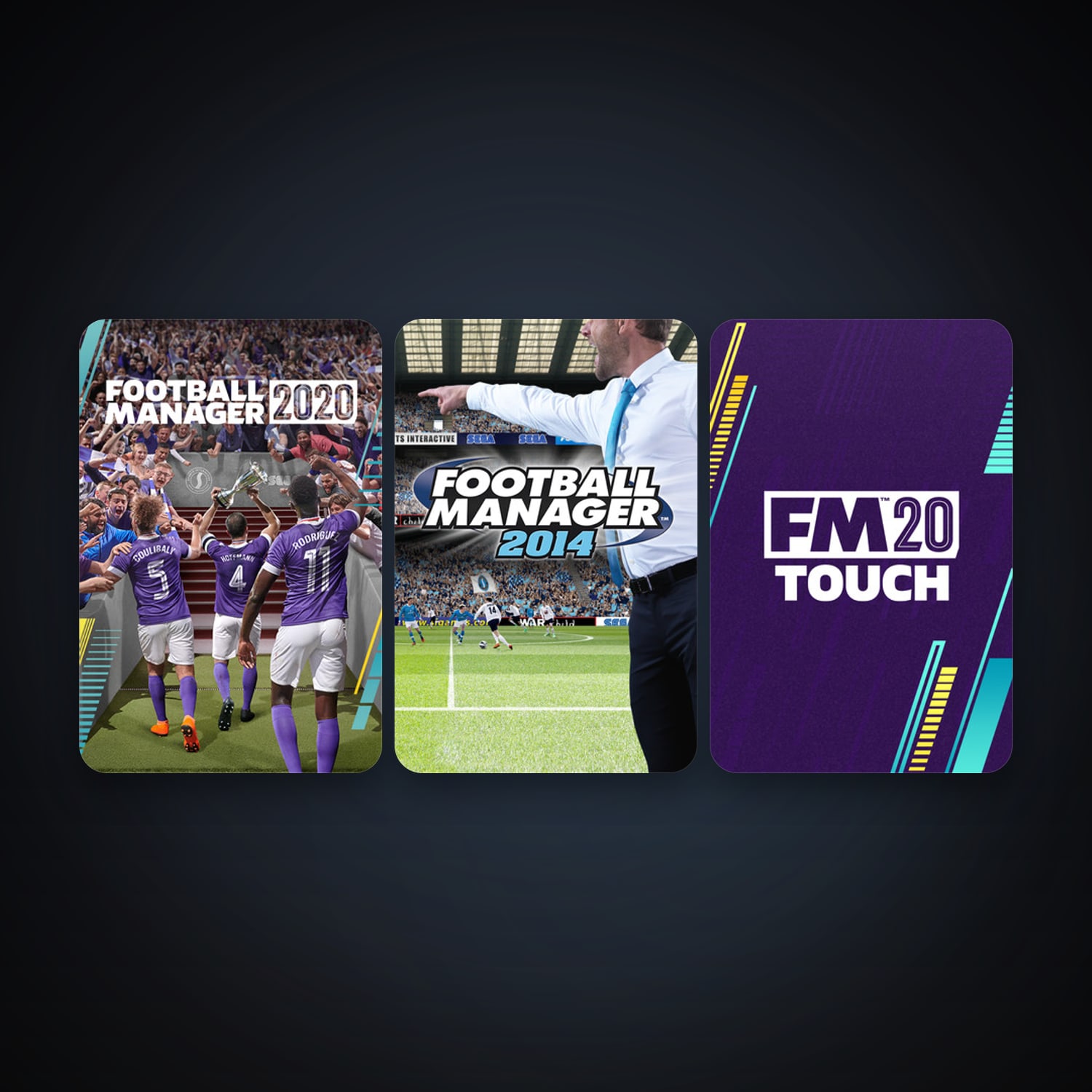 Football Manager 2014 + Football Manager 2020, 4 games, clean — HabibiAccounts