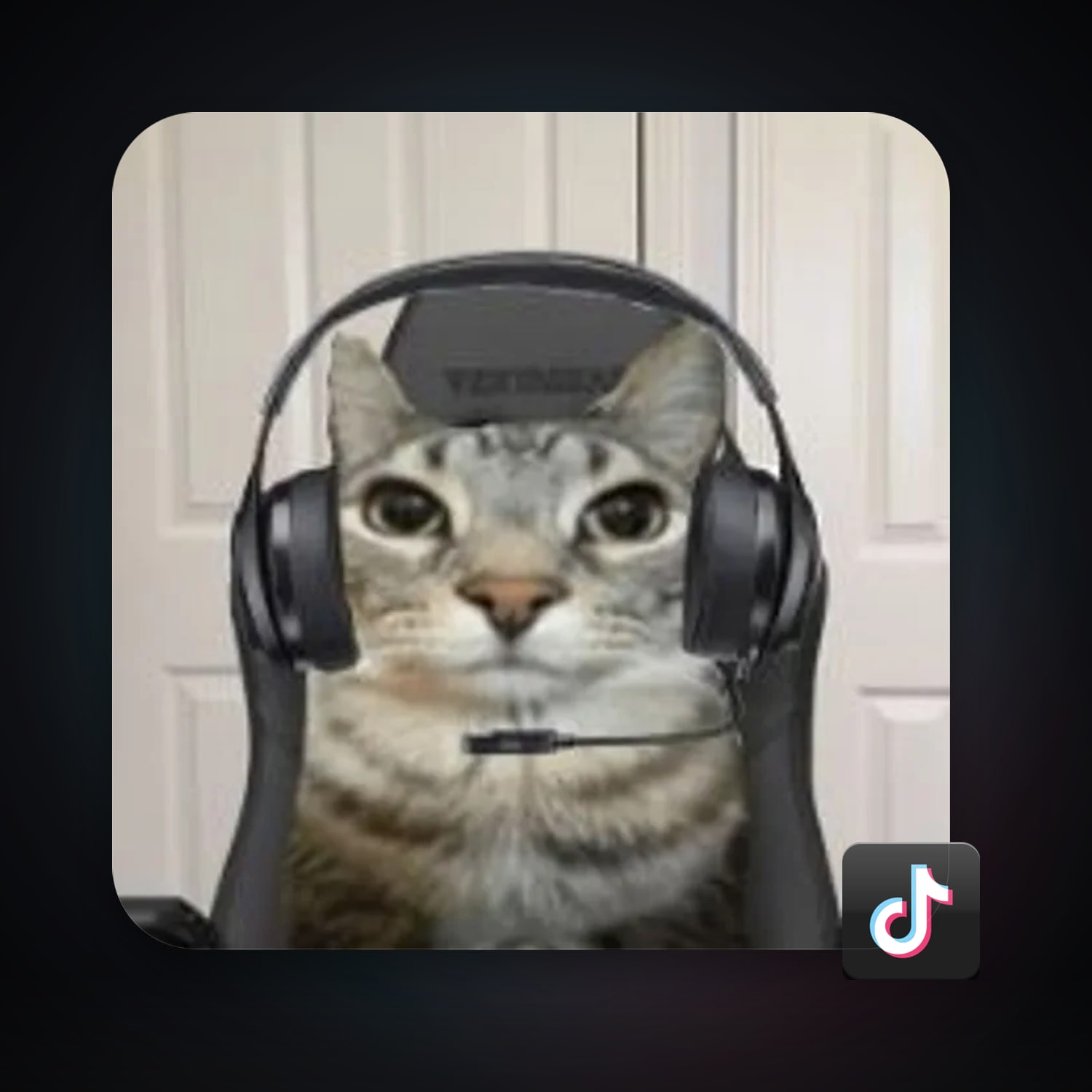 TikTok 207 followers — HabibiAccounts