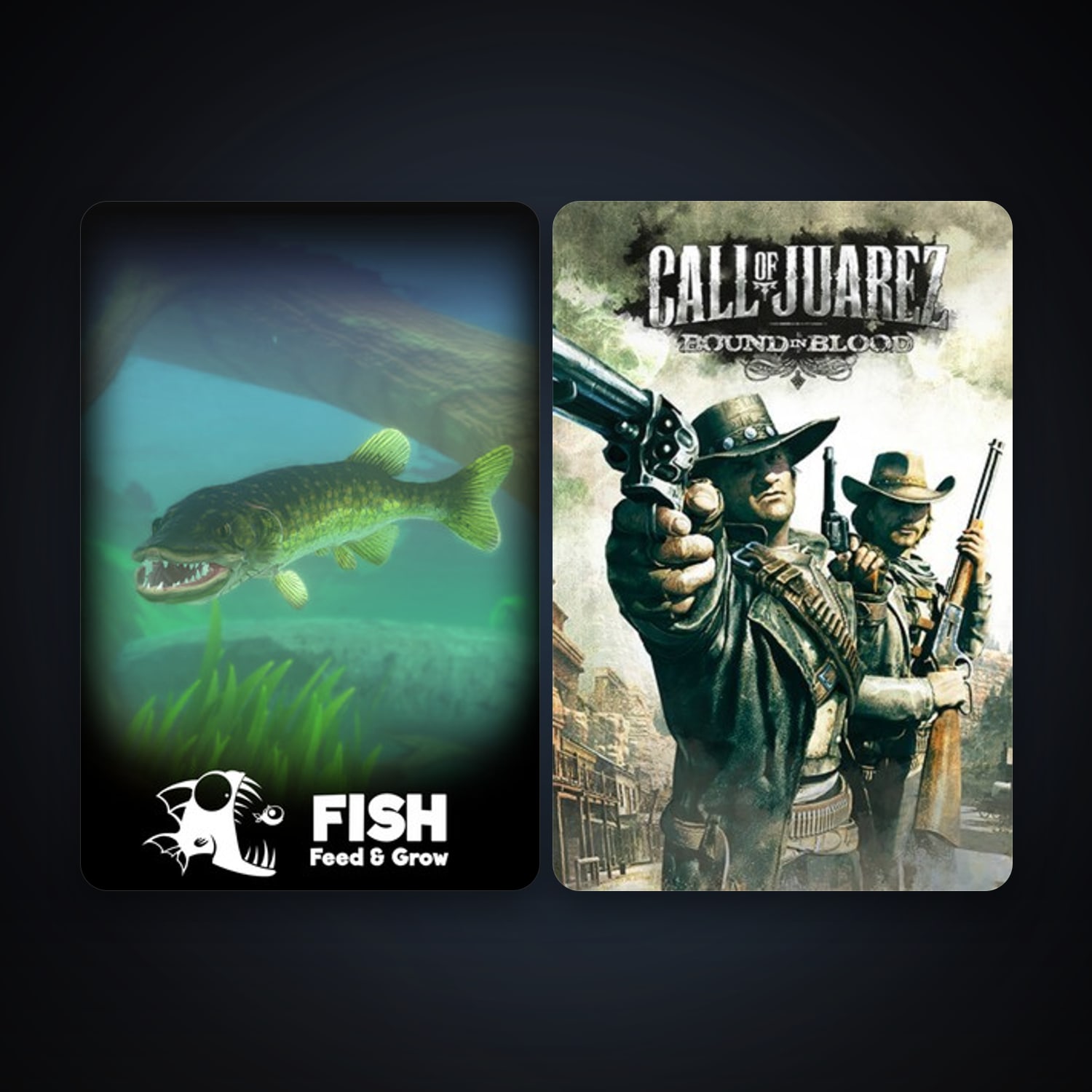 Call of Juarez: Bound in Blood + Feed and Grow: Fish, 8 games, clean — HabibiAccounts