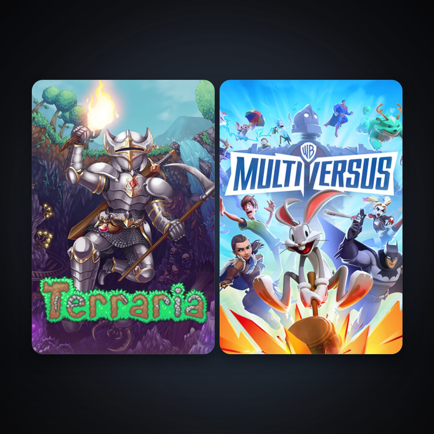 Terraria + MultiVersus, 2 games, clean — HabibiAccounts